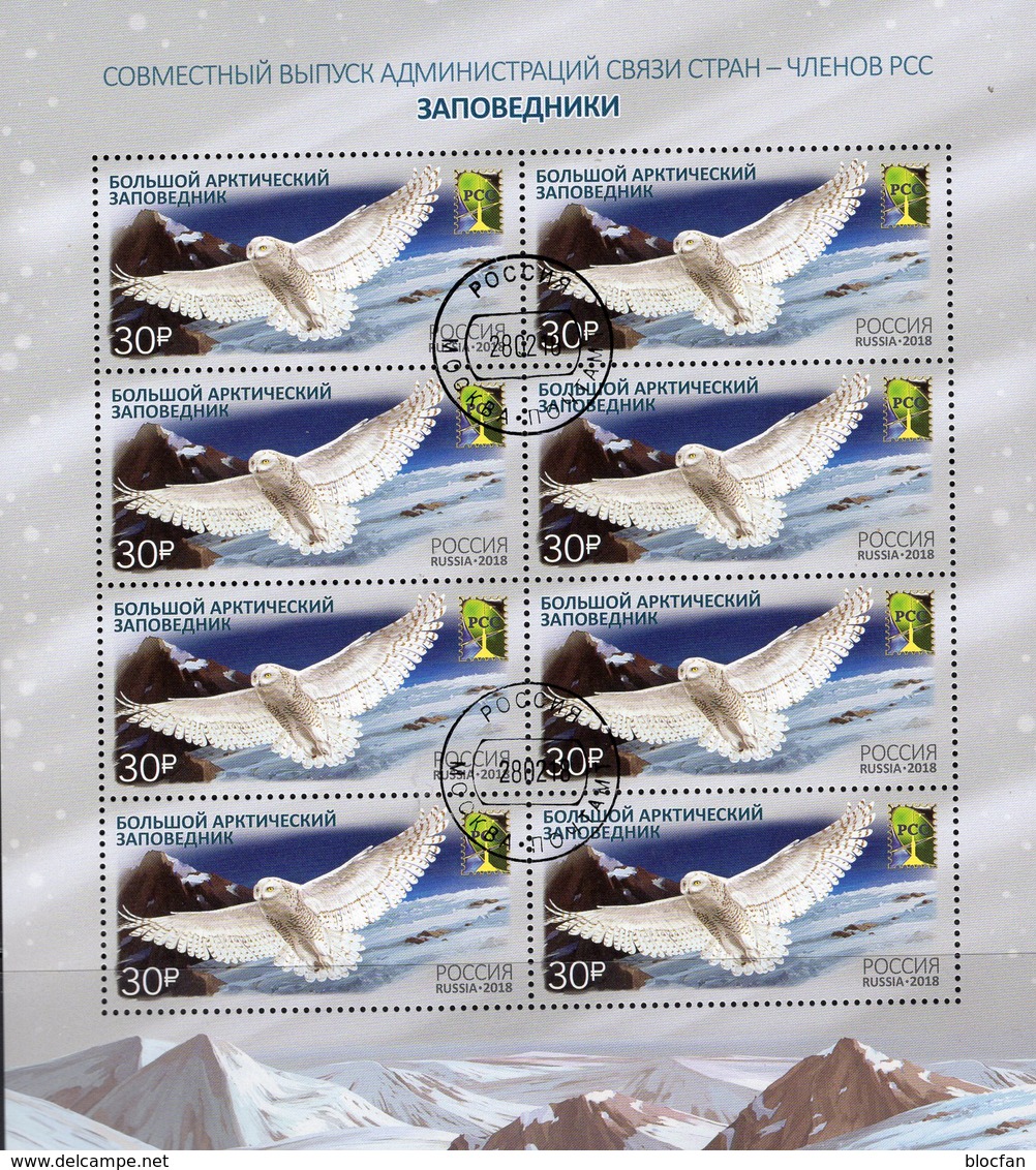 Arktis-Vögel 2018 Rußland 2538 8-KB O 32€ Schnee-Eule Eis-Berge Bloque Birds Hoja Fauna Bloc Nature Sheet Bf RUSSIA - Behoud Van De Poolgebieden En Gletsjers