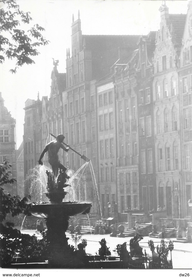 Gdańsk (Pologne) Długi Targ (le Long Marché) Fontanna Neptuna (Fontaine Neptune) - Pologne