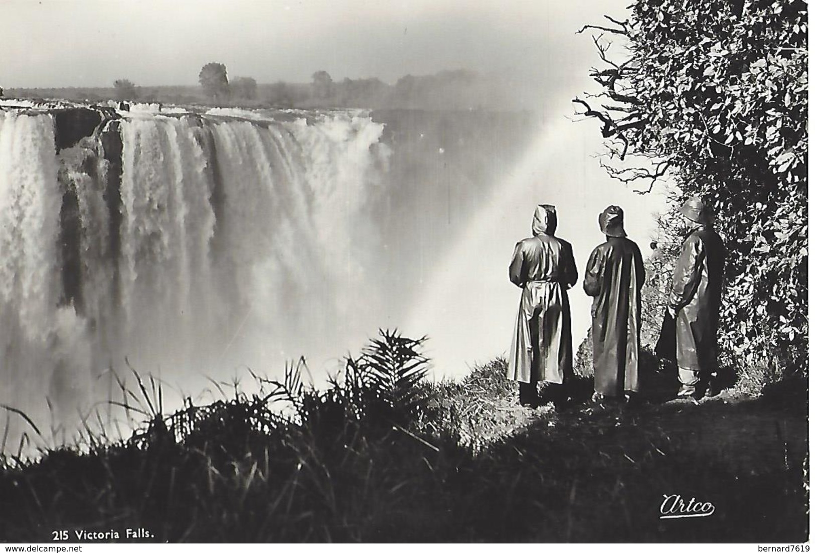 Zambie   Victoria Falls - Zambia