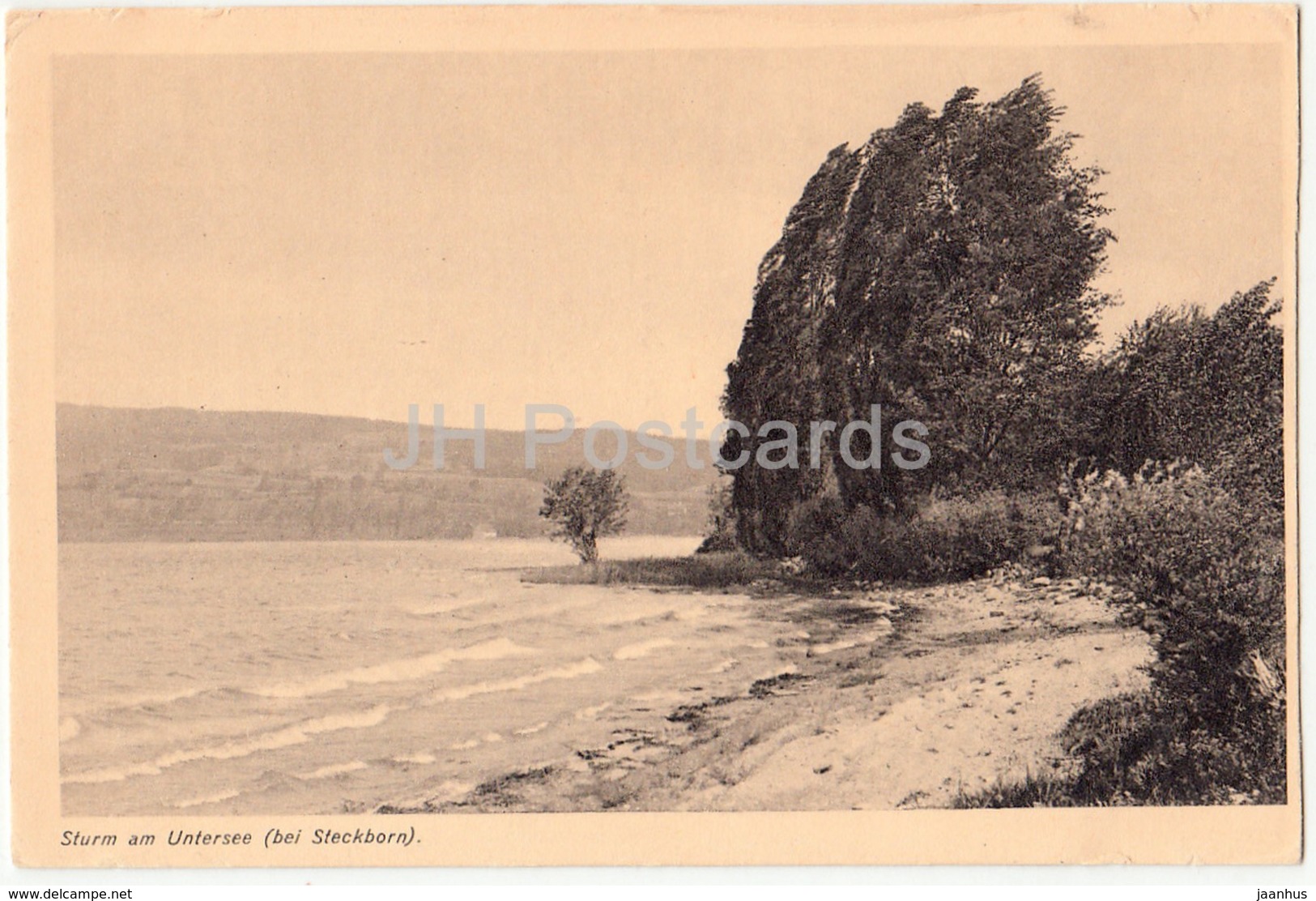 Sturm Am Untersee Bei Steckborn - 19 - Switzerland - Old Postcard - Unused - Steckborn