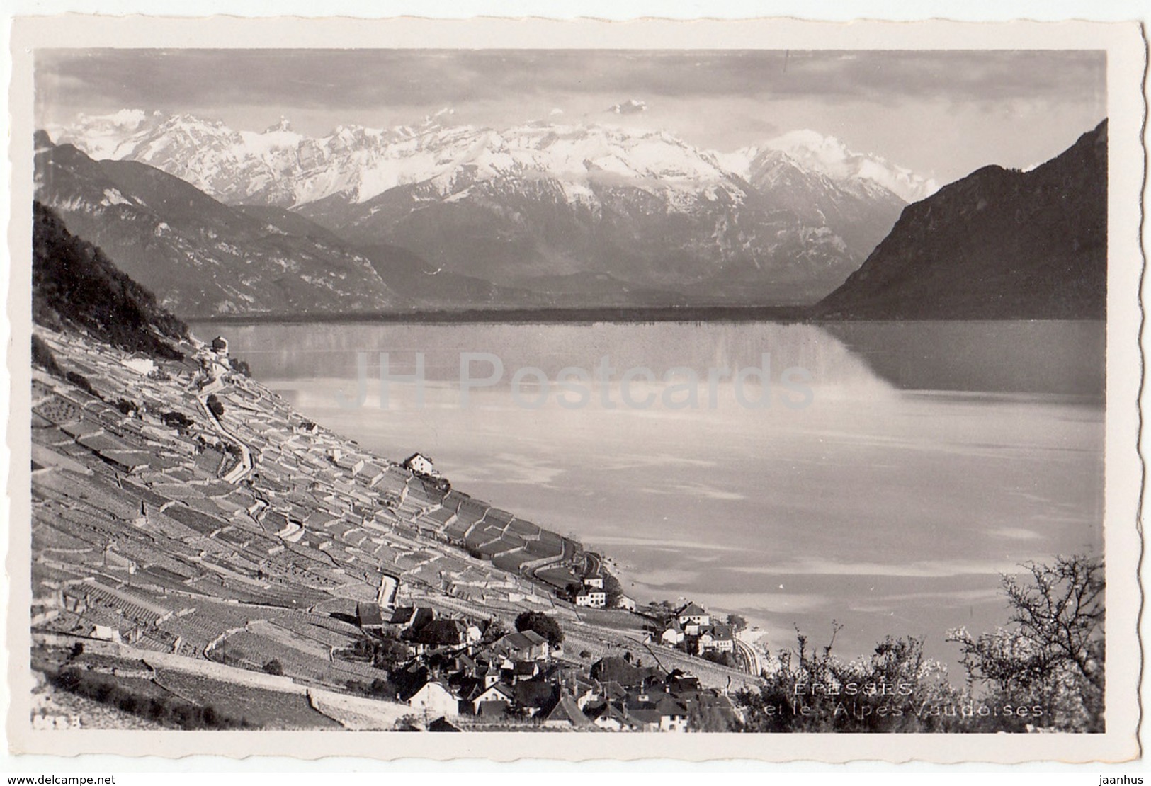 Epesses Et Le Alpes Vaudoises - Switzerland - Old Postcard - Unused - Épesses