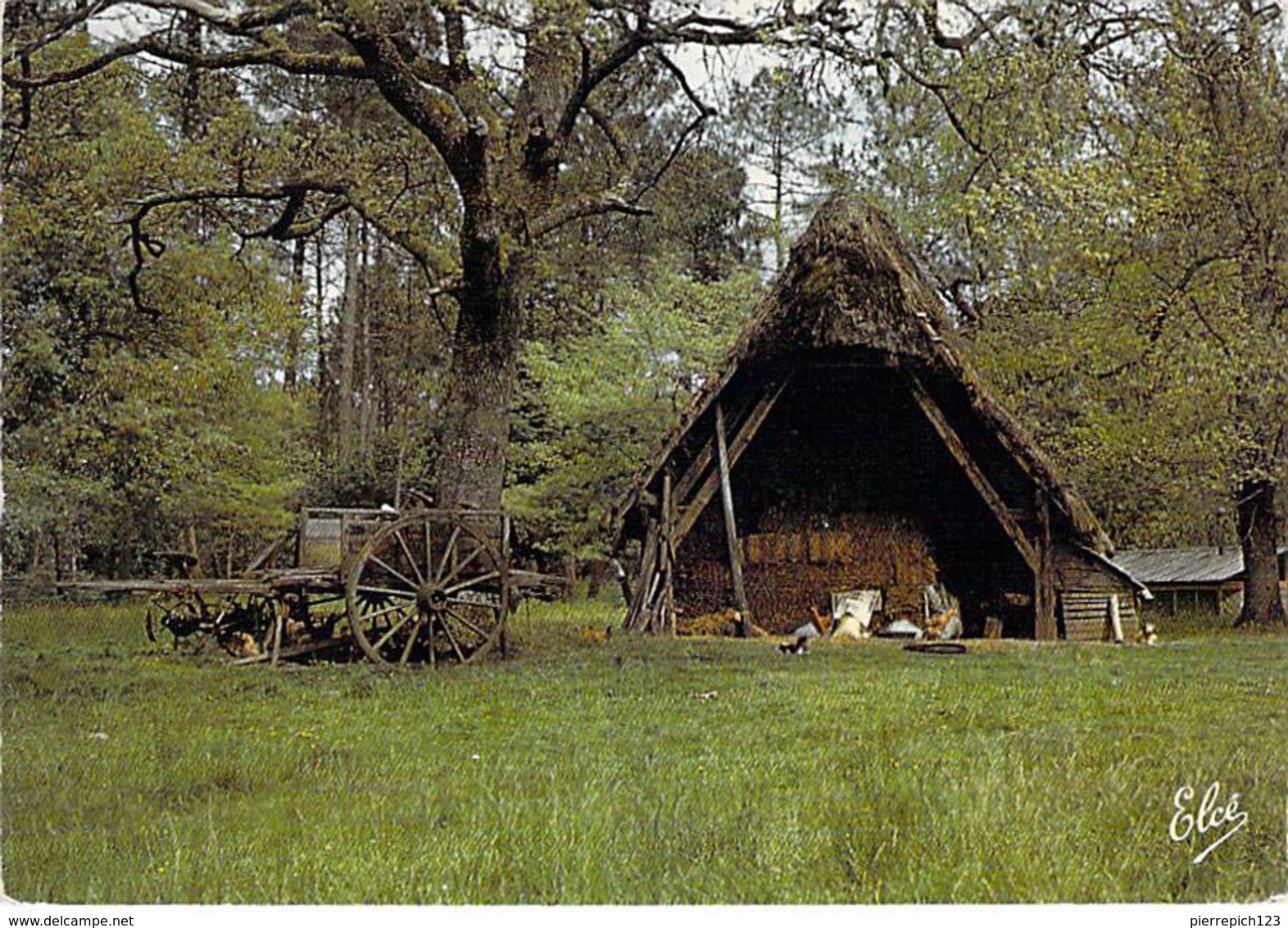 40 - La Lande - Une Vieille Bergerie Dans La Forêt Landaise Avec Une Vieille Charrette Landaise Dit "Bros Landais" - Autres & Non Classés