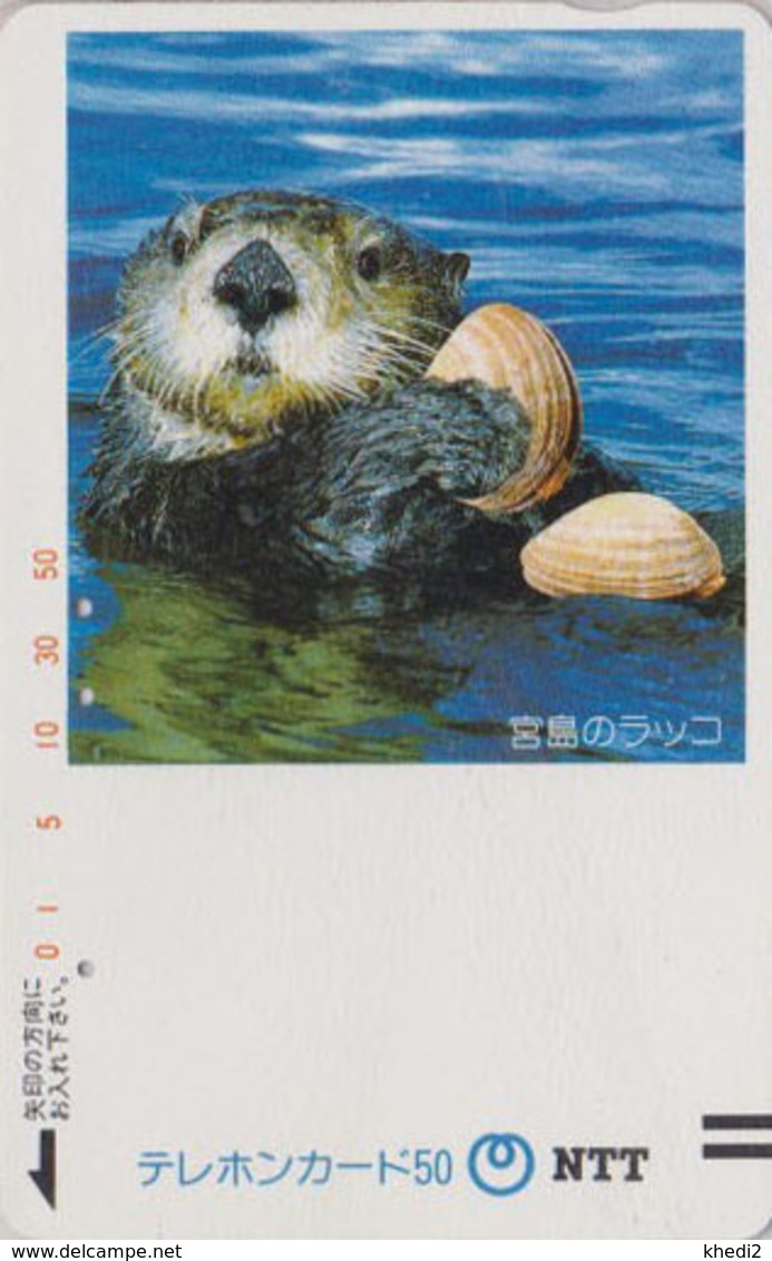 TC Ancienne JAPON / NTT 350-031 - ANIMAL TBE - LOUTRE & COQUILLADE - OTTER & SHELL JAPAN Front Bar Phonecard - Japan