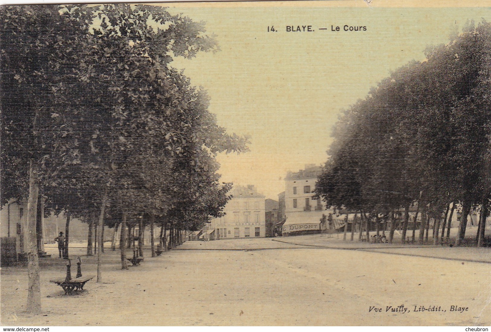 33. BLAYE . CPA COULEUR FAÇON VERNIE TOILÉE.  RARETE. LE COURS - Blaye