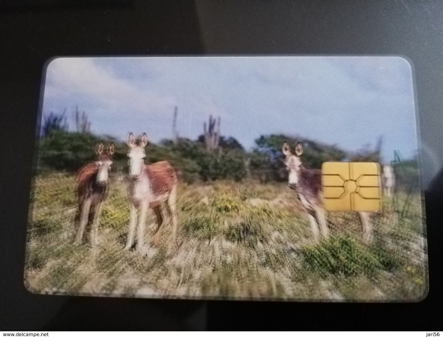 BONAIRE Naf 5,00 20 Units Donkey  **087 ** - Antillas (Nerlandesas)