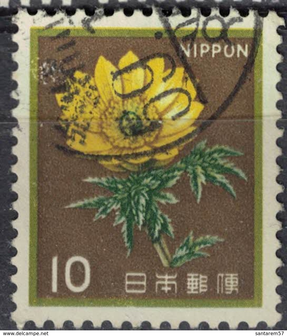 Japon 1982 Oblitéré Used Plante Fleur Adonis Amurensis Adonide De L'Amour SU - Used Stamps