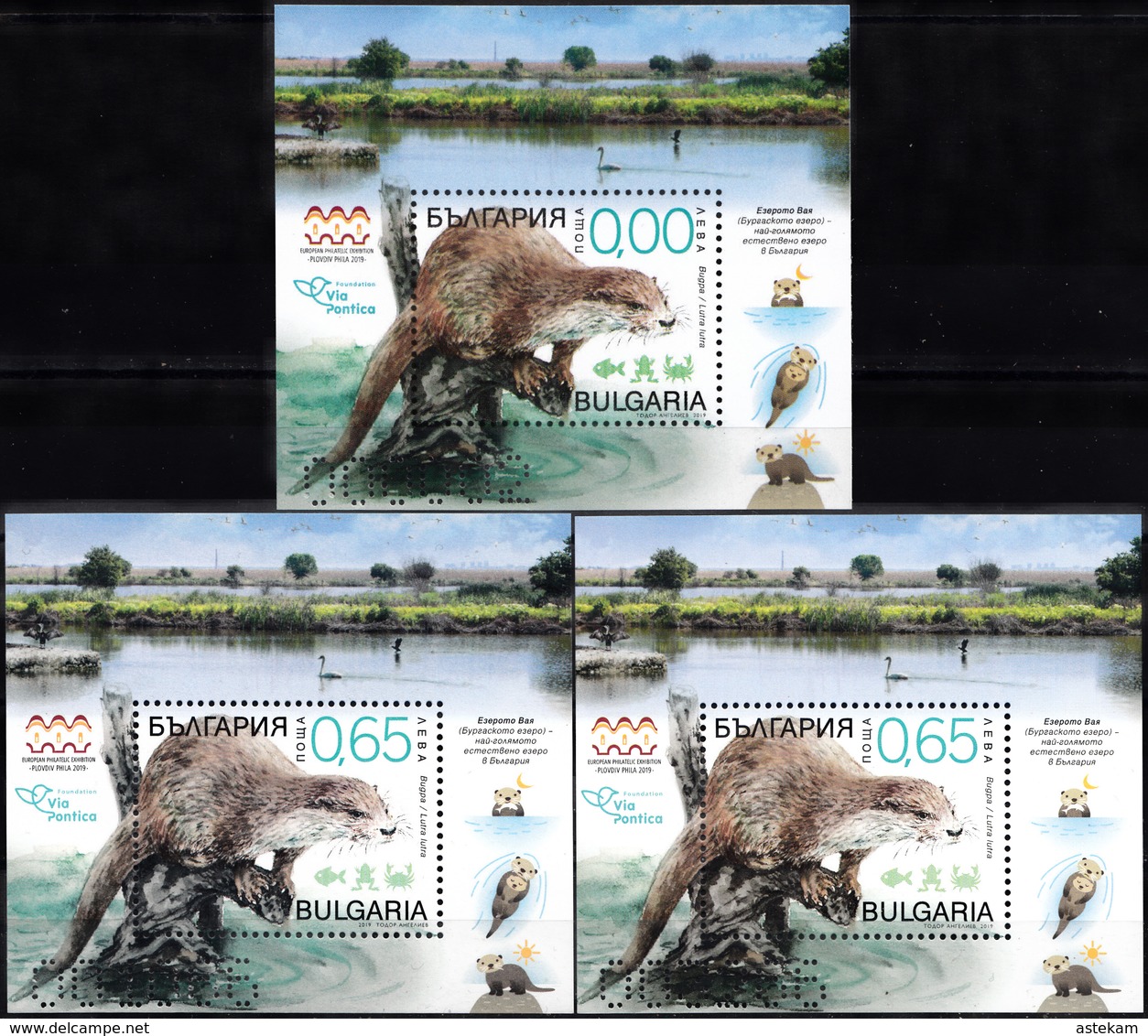 BULGARIA 2019, FAUNA, PROTECTED ANIMALS-OTTER, THREE MNH DIFFERENTS BLOCKS In GOOD QUALITY,*** - Ungebraucht