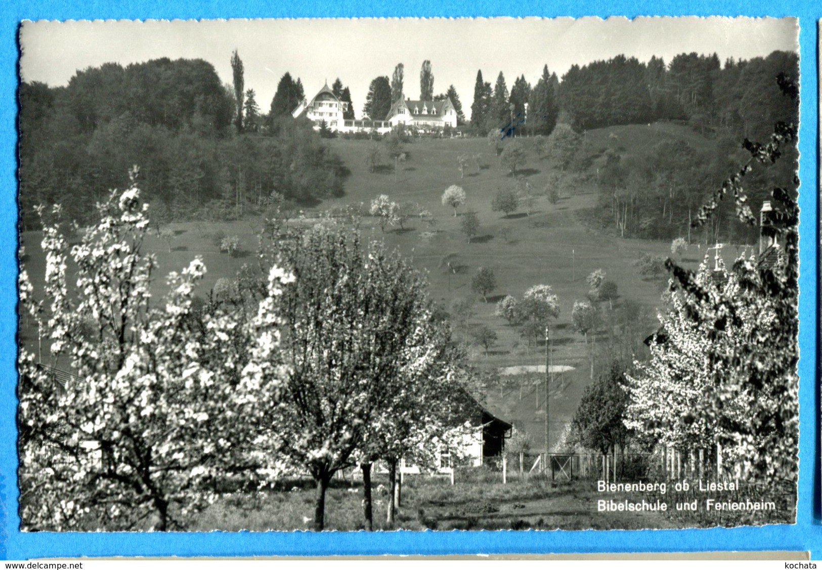 NY209, Bienenberg Ob Liestal, Bibelschule Und Ferienheim, 10915, Circulée Sous Enveloppe - Liestal