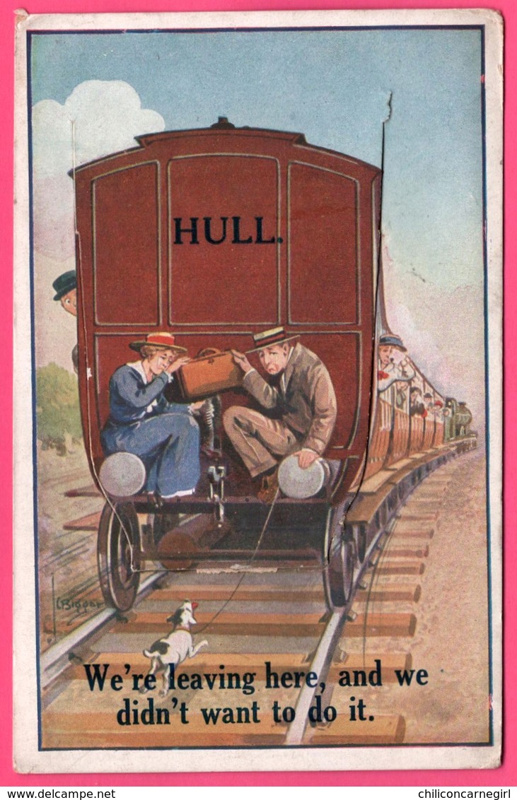 Cp Système 12 Vues - Leporello - Hull - We Are Leaving Here And We Didn't Want To Do It - Train - Chien - Edit. NOVELTY - Hull