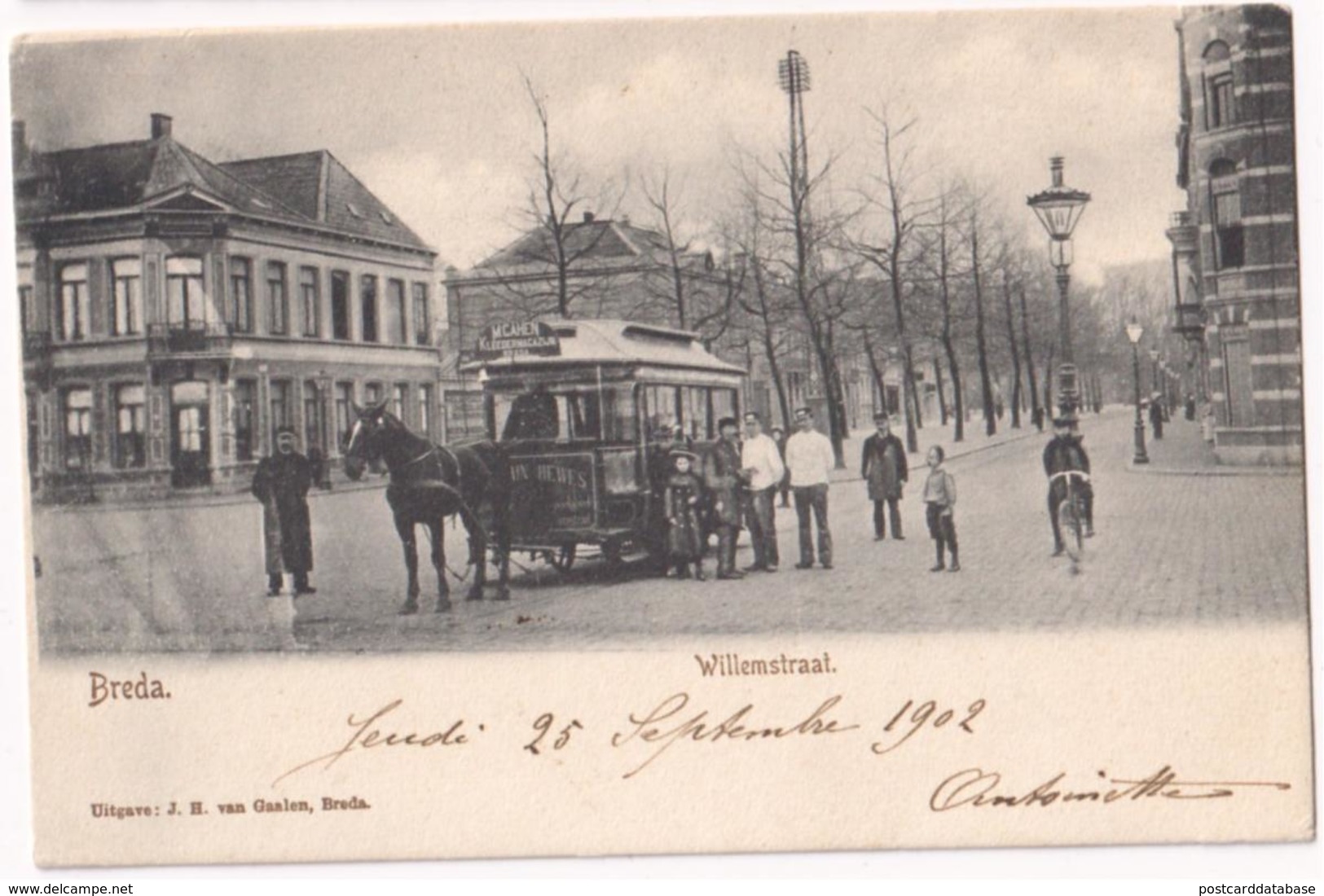 Breda - Willemstraat - & Tram - Breda