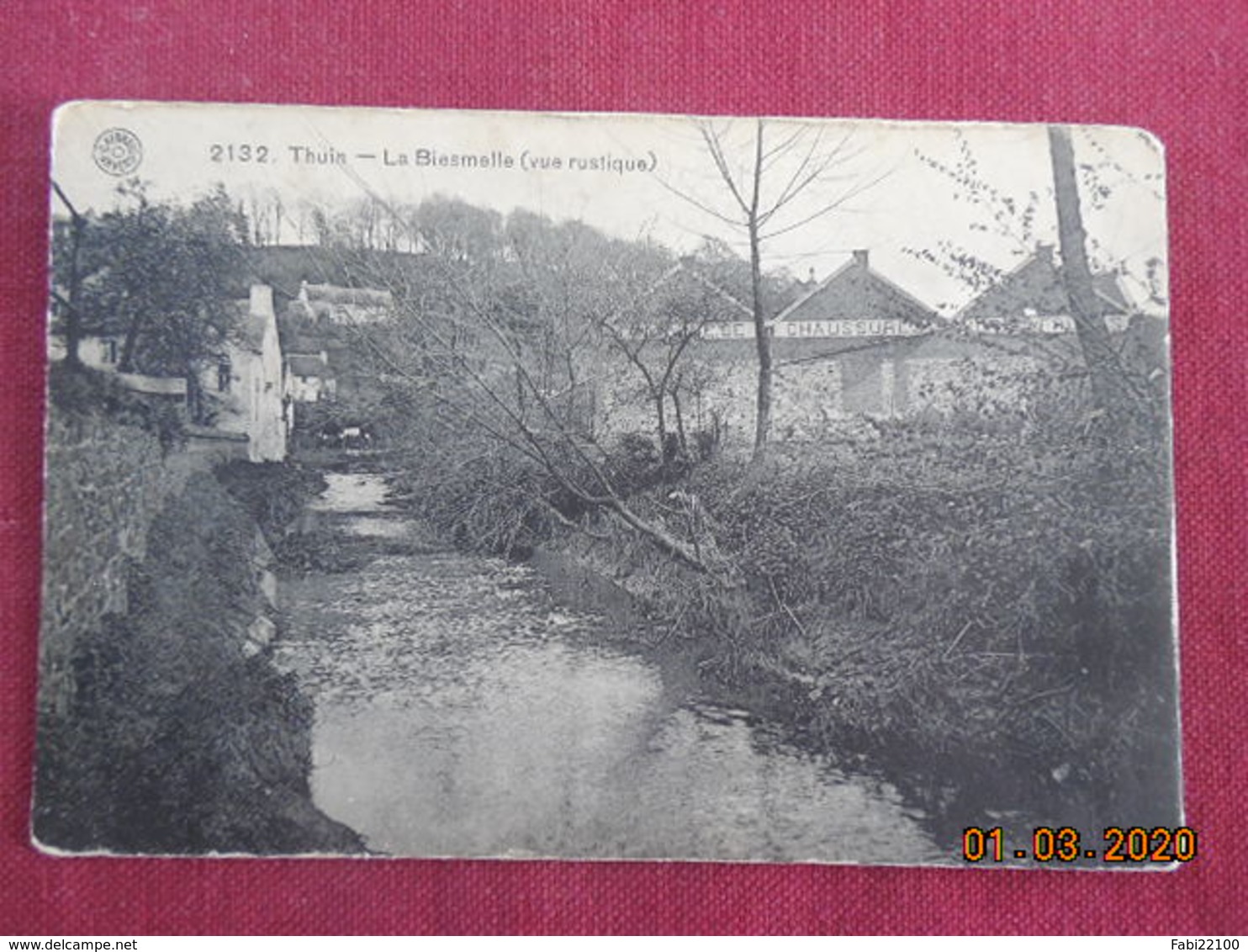 CPA - Belgique - Thuin - La Biesmelle (vue Rustique) - Cachet Du 30 Mai 1910 - Thuin