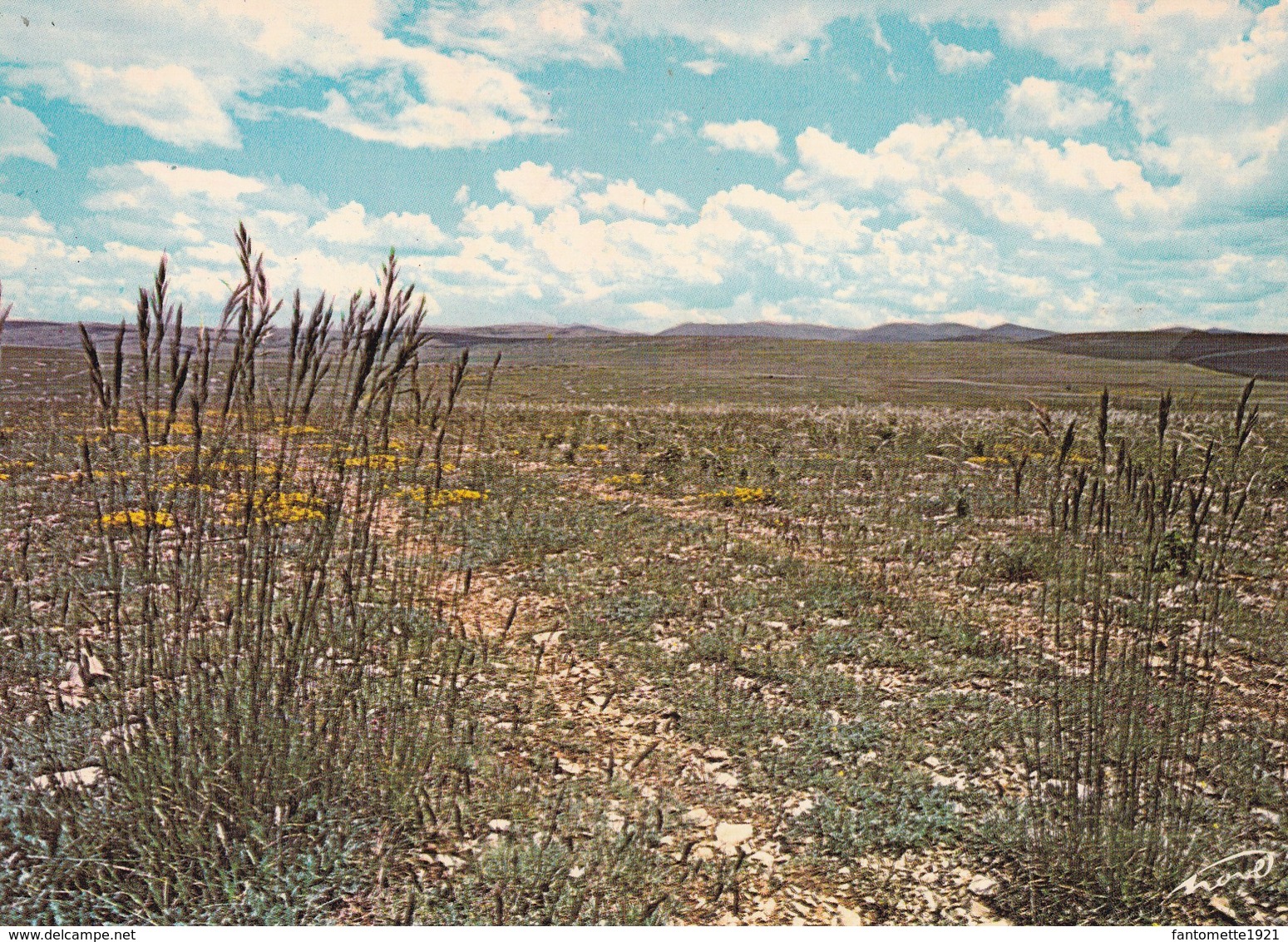 CAUSSE MEJEAN  LE DESERT DE DRIGAS (dil448) - Chanac