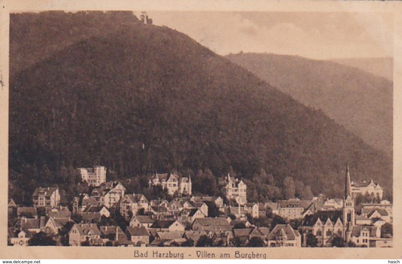 3728	252	Bad Harzburg, Villen Am Burgberg (Gestempelt 1920) (sehr Kleines Falte Im Ecken) - Bad Harzburg