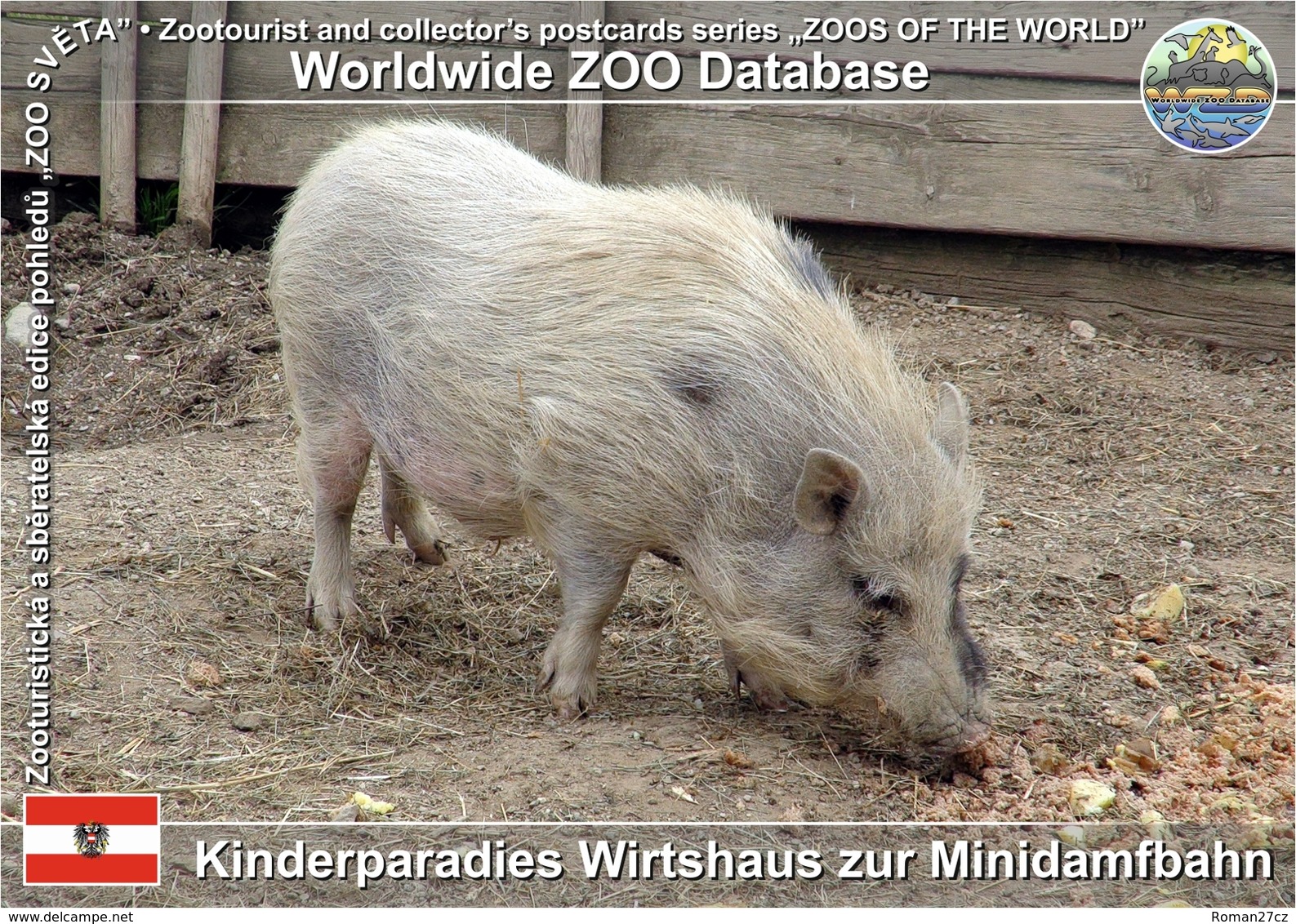 793 Kinderparadies Wirtshaus Zur Minidamfbahn, AT - American Mini Pig (Sus Scrofa F. Domestica) - Zwettl
