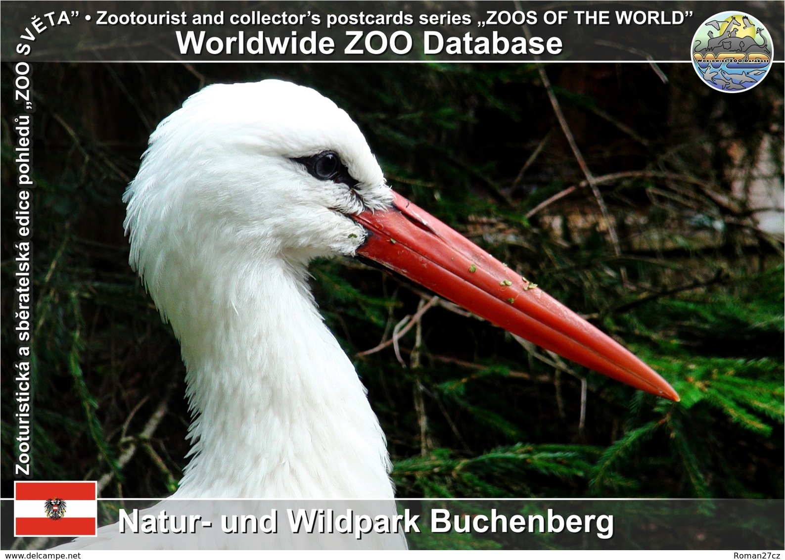 799 Natur- Und Wildpark Buchenberg, AT - European White Stork (Ciconia Ciconia Ciconia) - Waidhofen An Der Ybbs