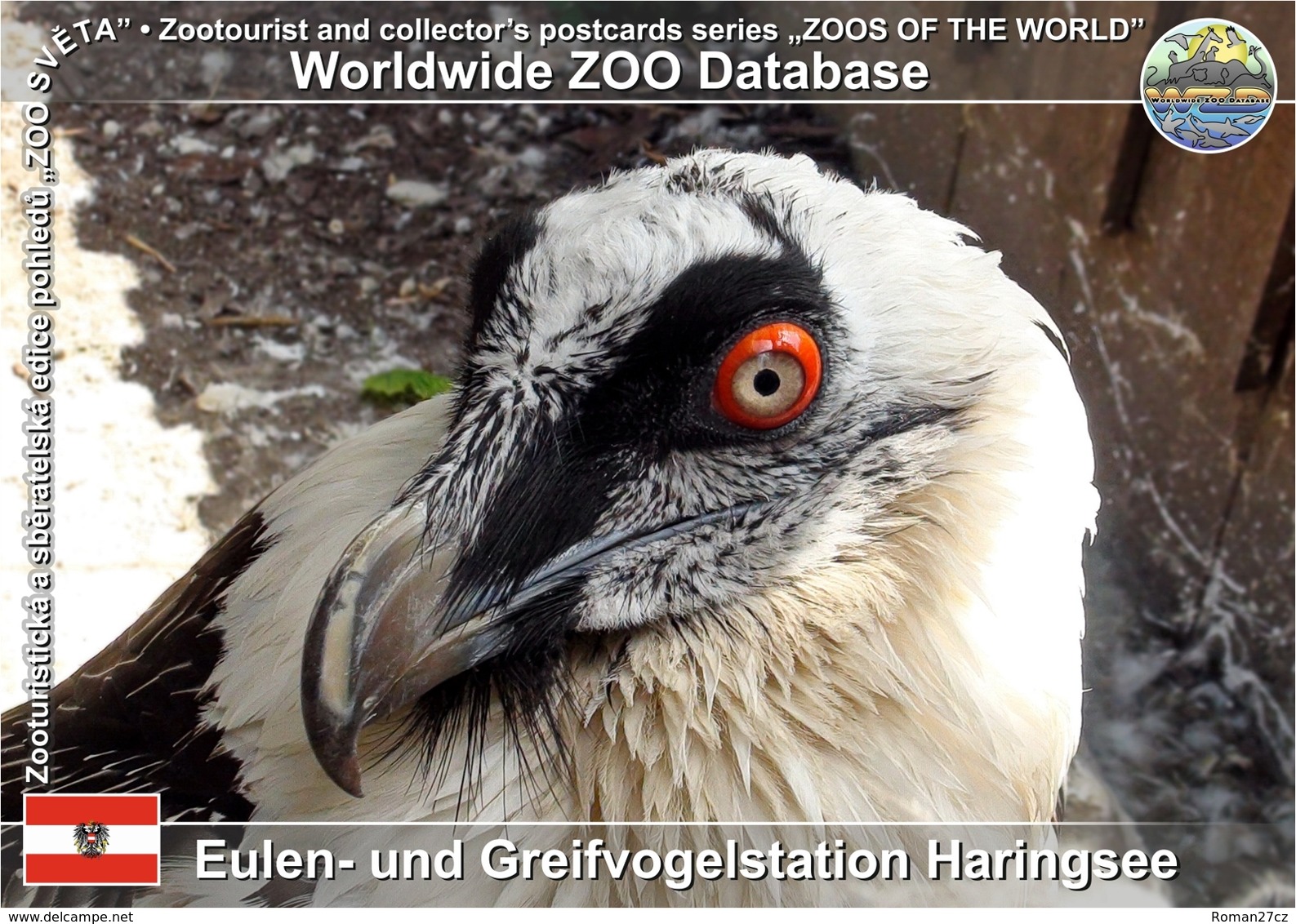 829 WZD • ZOO -  Eulen- Und Greifvogelstation Haringsee, AT - Euroasian Bearded Vulture (Gypaetus Barbatus Barbatus) - Gänserndorf