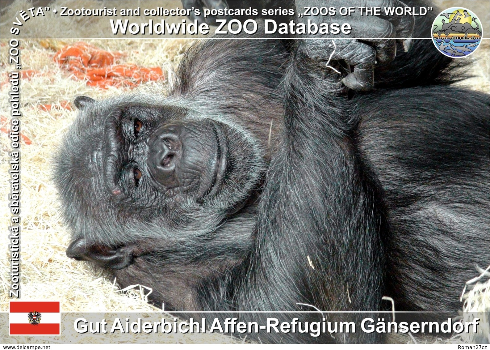 849 Gut Aiderbichl Affen-Refugium Gänserndorf, AT - Common Chimpanzee (Pan Troglodytes) - Gänserndorf