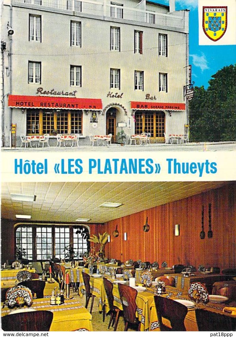 07 - THUEYTS :  Bar Hotel Restaurant LES PLATANES - CPSM Village ( 1.050 Habitants ) Grand Format - Ardèche - Other & Unclassified