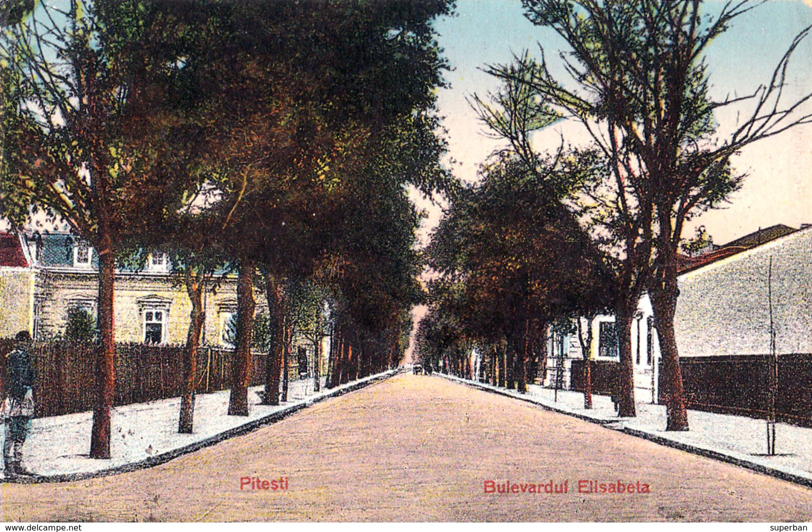 ROMANIA : PITESTI / ARGES : BULEVARDUL ELISABETA - FATA CARTII POSTALE ! / DEVANT DE LA CARTE POSTALE ! ~ 1910 (ae190) - Romania