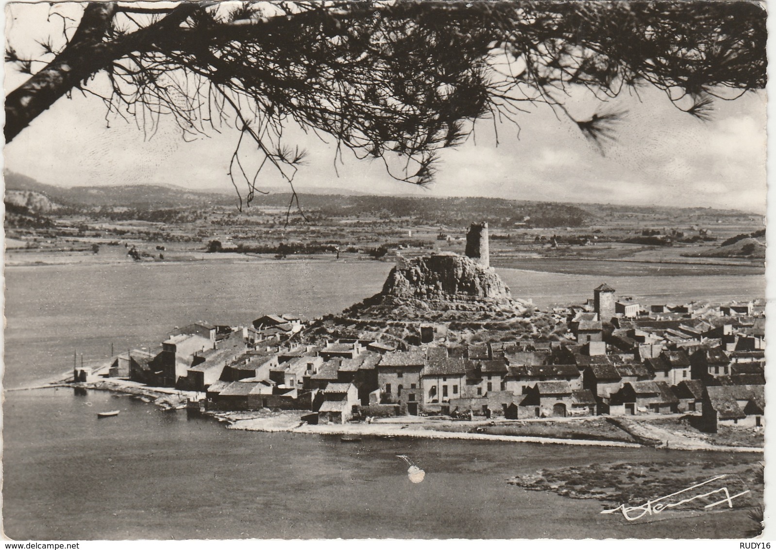 GRUISSAN  -    LE VILLAGE à TRAVERS LA PINEDE   -  Editeur : Studio HENRY De Narbonne N° / - Altri & Non Classificati