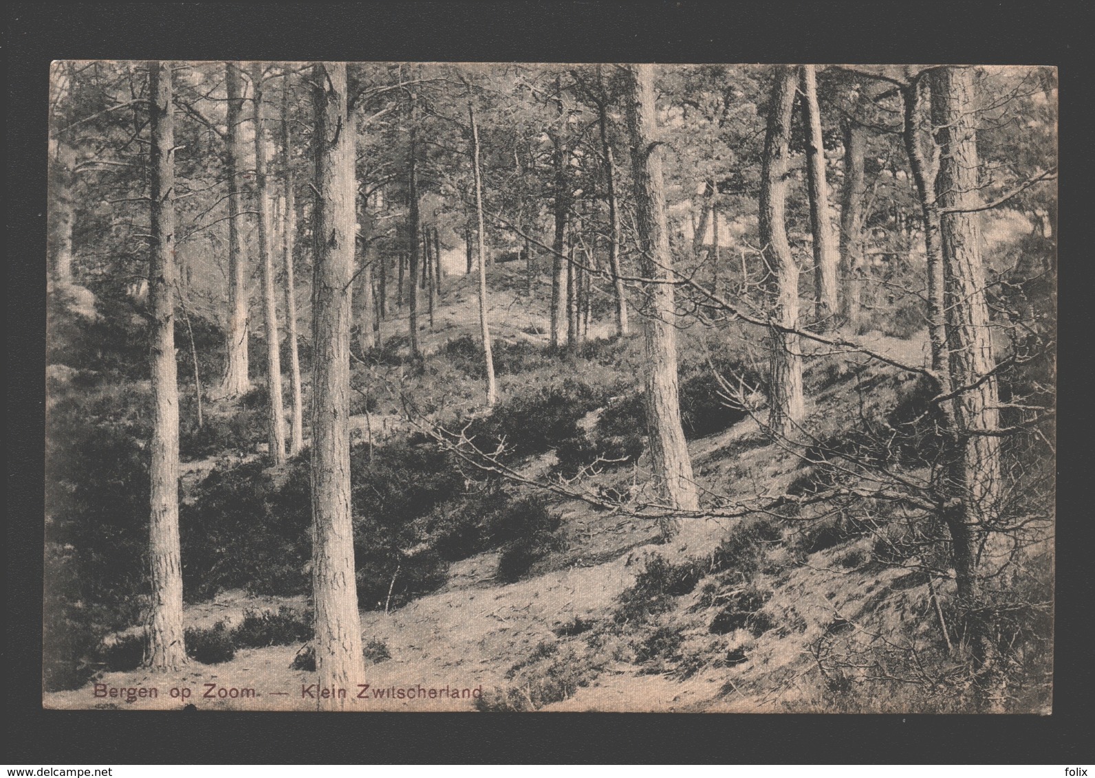 Bergen Op Zoom - Klein Zwitscherland - 1911 - Bergen Op Zoom