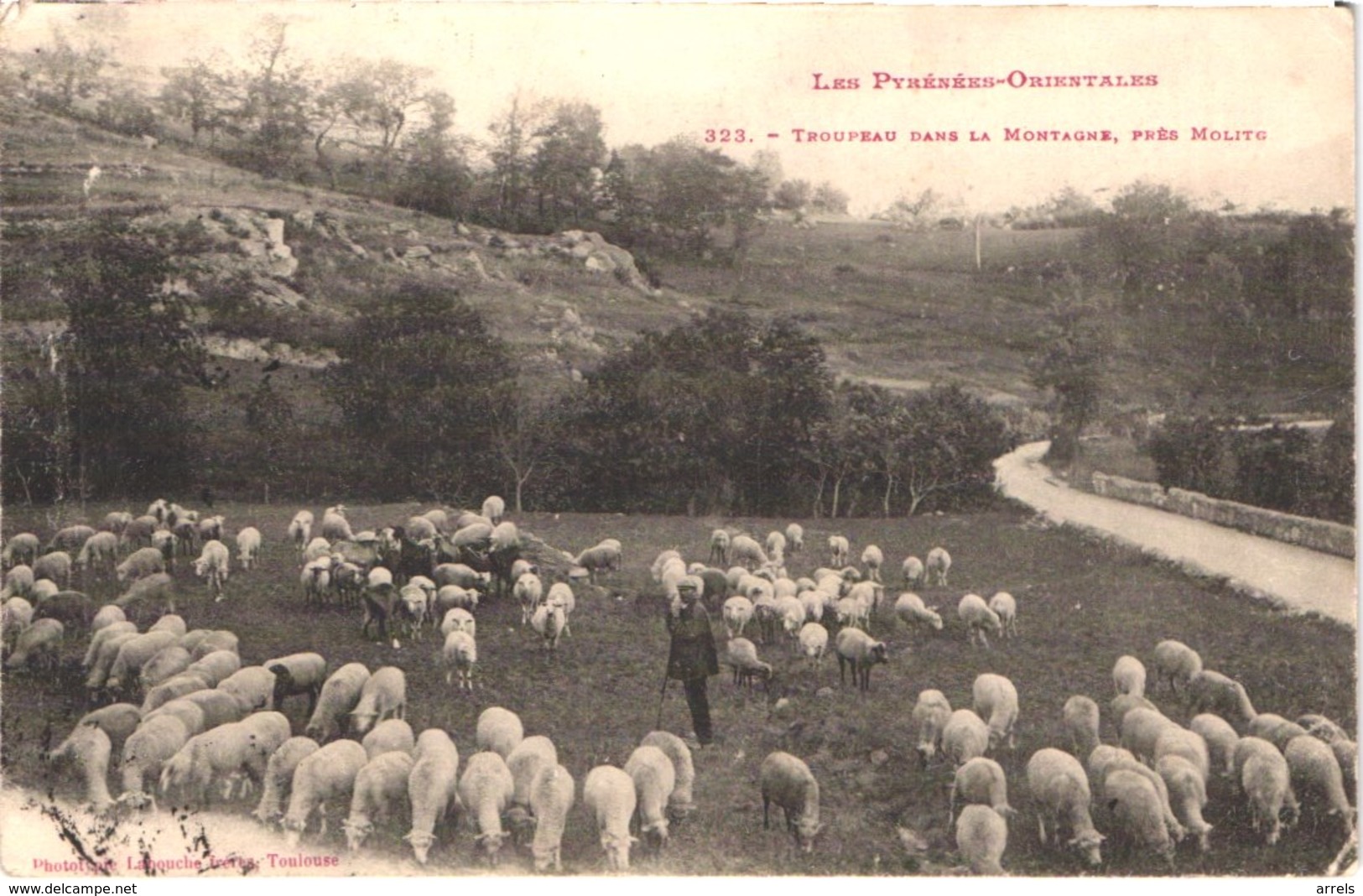 FR66 MOLITG LES BAINS - Labouche 323 - Berger Et Son Troupeau De Moutons Dans La Montagne - Animée - Belle - Andere & Zonder Classificatie