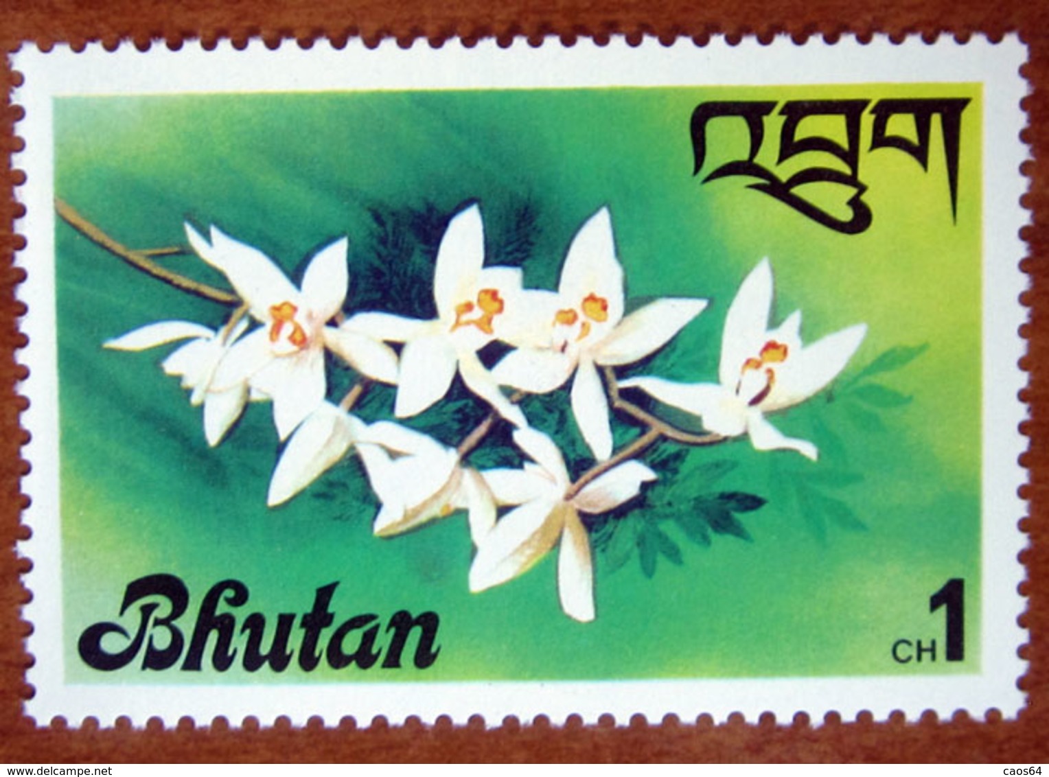 1976 BHUTAN  Fiori Flowers Orchidea Coelogyne Nitida - Nuovo - Bhutan