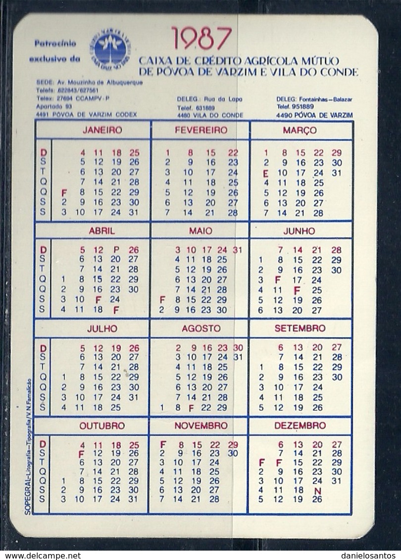 1987 Pocket Calendar Calandrier Calendario Portugal Ciclismo Nacional De Ciclocrosse Premio Caixa Credito Agricola - Grand Format : 1981-90