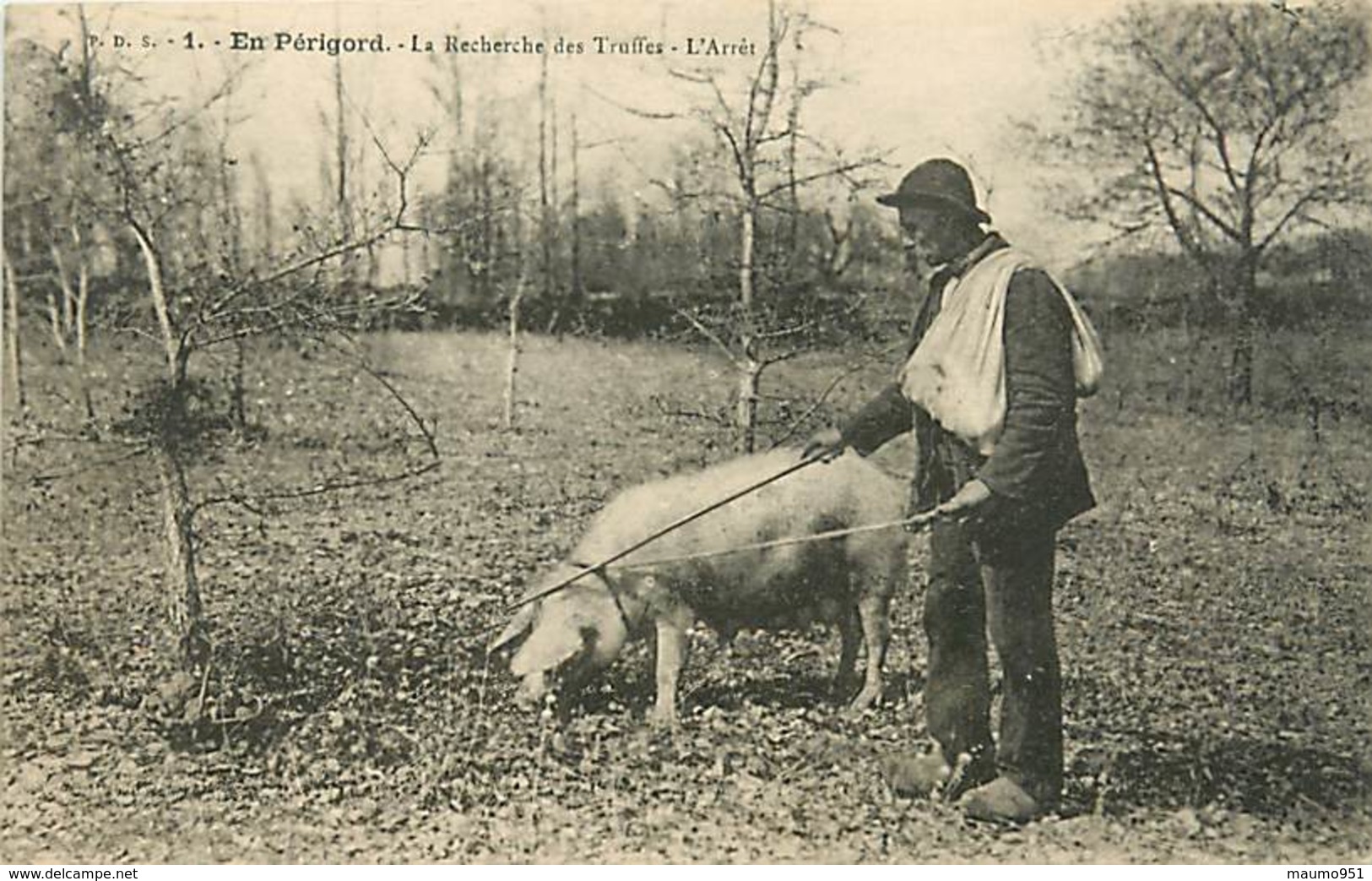 24 EN PERIGORD - DEBARRAS SUR LE STOCK - Autres & Non Classés