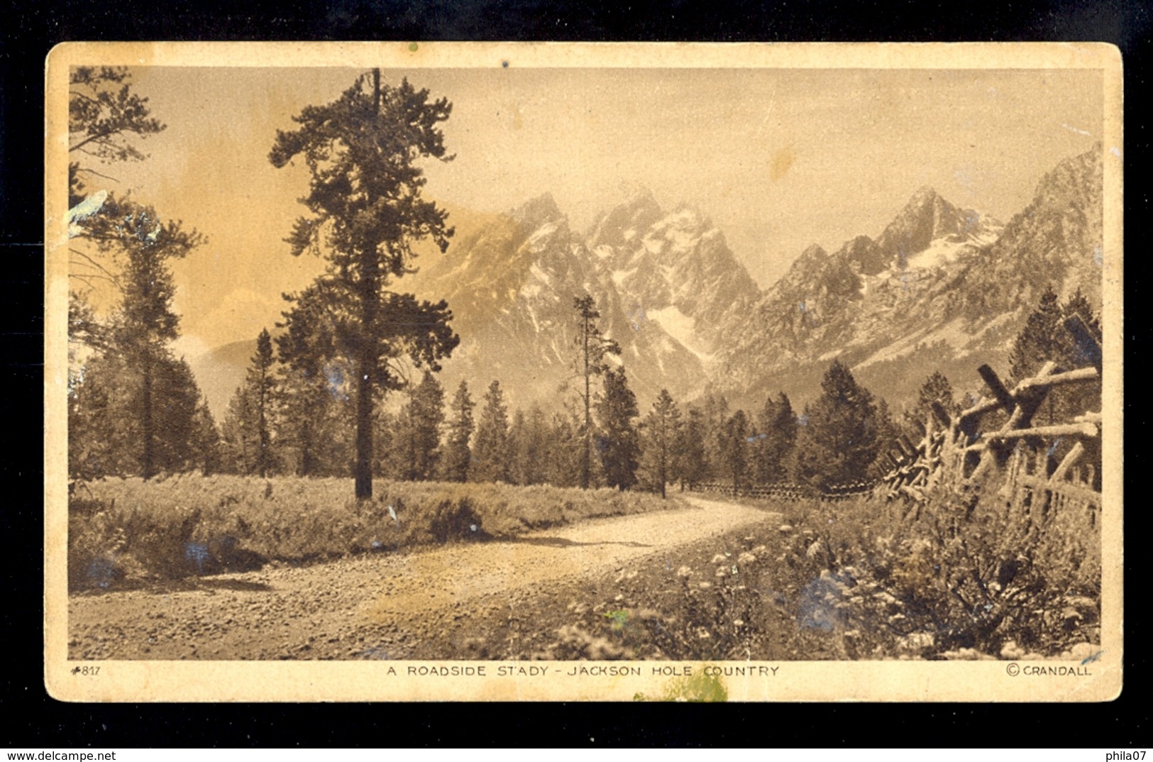 USA - A Roadside Stady - Jackson Hole County / Postcard Not Circulated - Autres & Non Classés