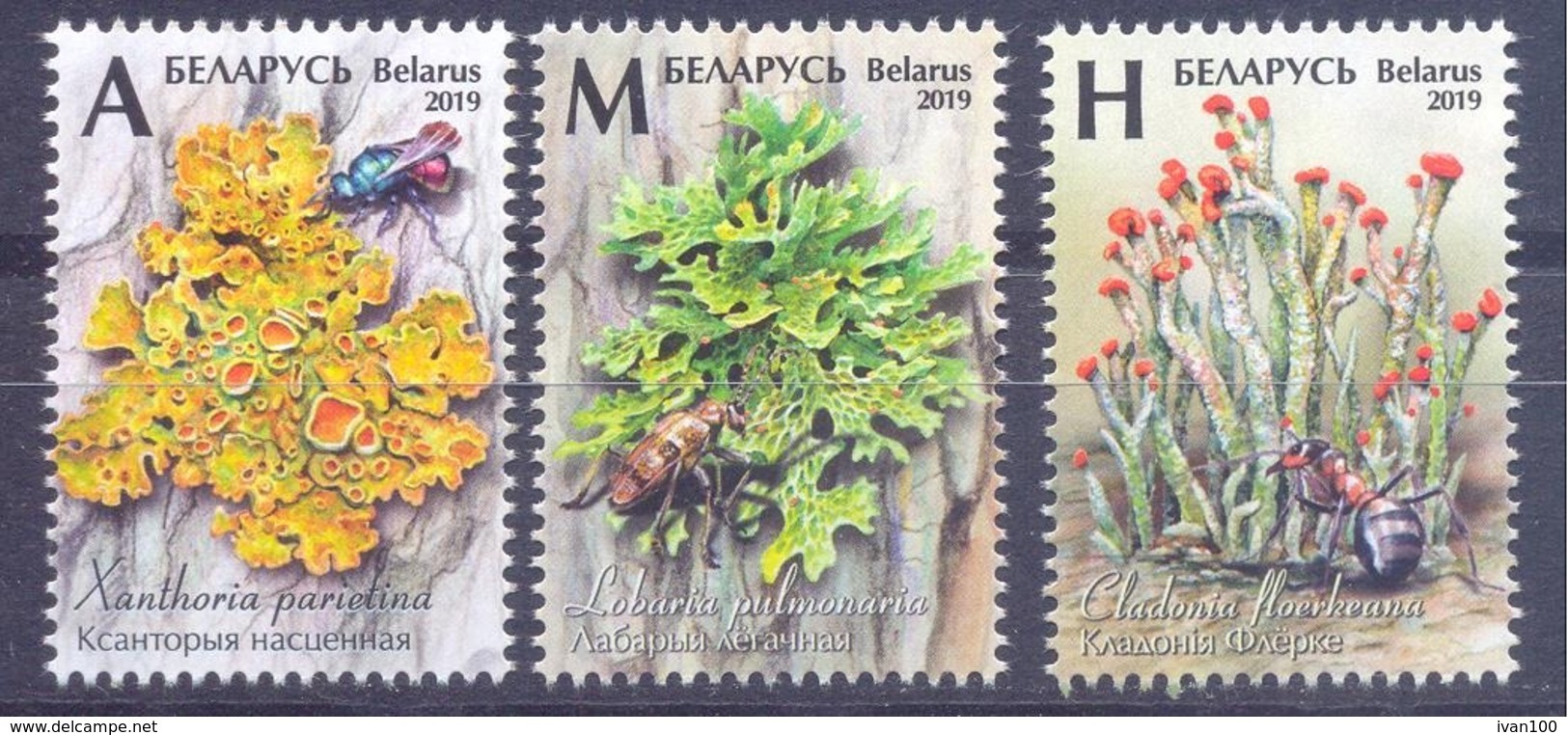 2019. Belarus, Flora Of Belarus, Lichens, 3v, Mint/** - Wit-Rusland