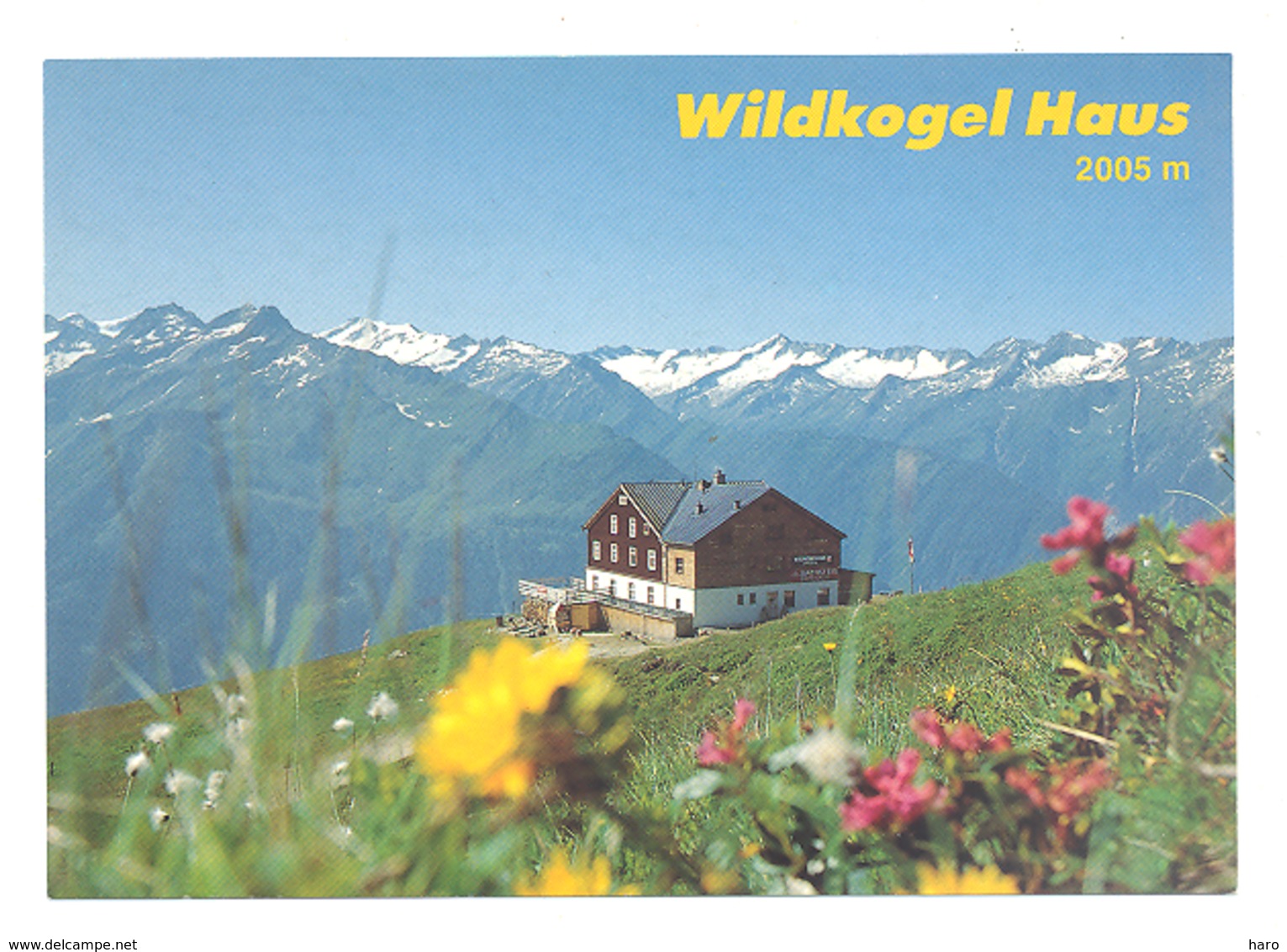 WILDELHAUS 2005 M - Famille Hutter - NEUKIRCHEN AM GROSSVENEDIGER (b17) - Neukirchen Am Grossvenediger