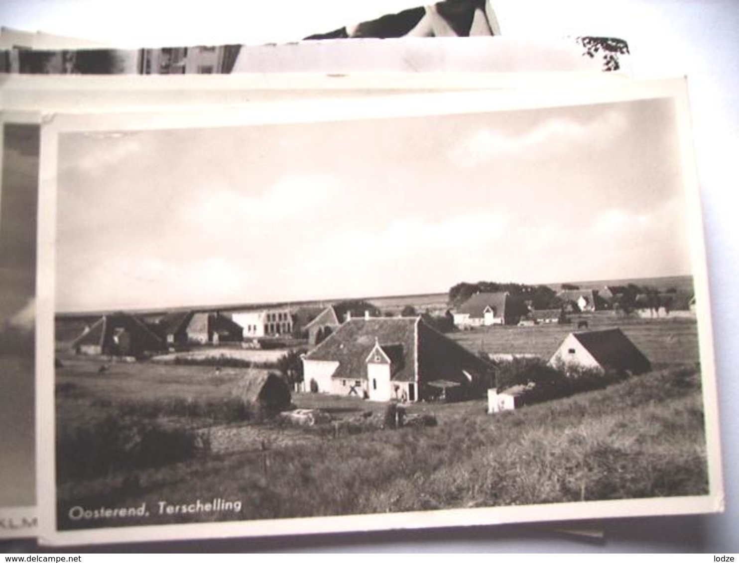 Nederland Holland Pays Bas Terschelling Oosterend Met Dorpspanorama - Terschelling