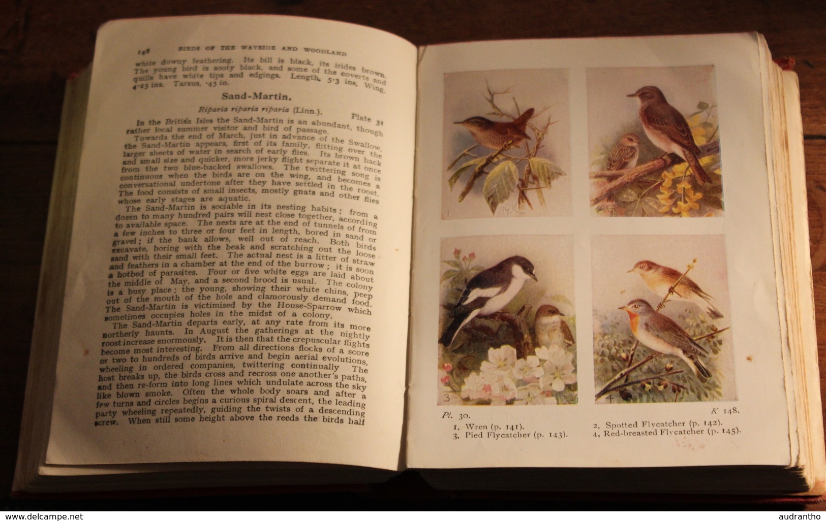 rare livre 1936 en anglais illustré birds of the Wayside and Woodland oiseaux avec illustrations