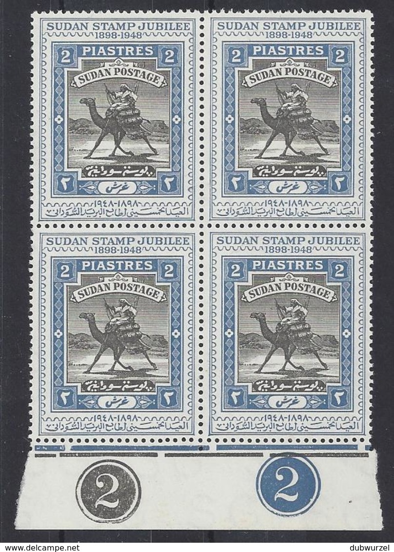 SUDAN...KING GEORGE VI.(1936-52)..." 1948 "....2piastres...X MARGINAL BLOCK OF 4....1 SPLIT PERF AT TOP....SG112....MNH. - Sudan (...-1951)