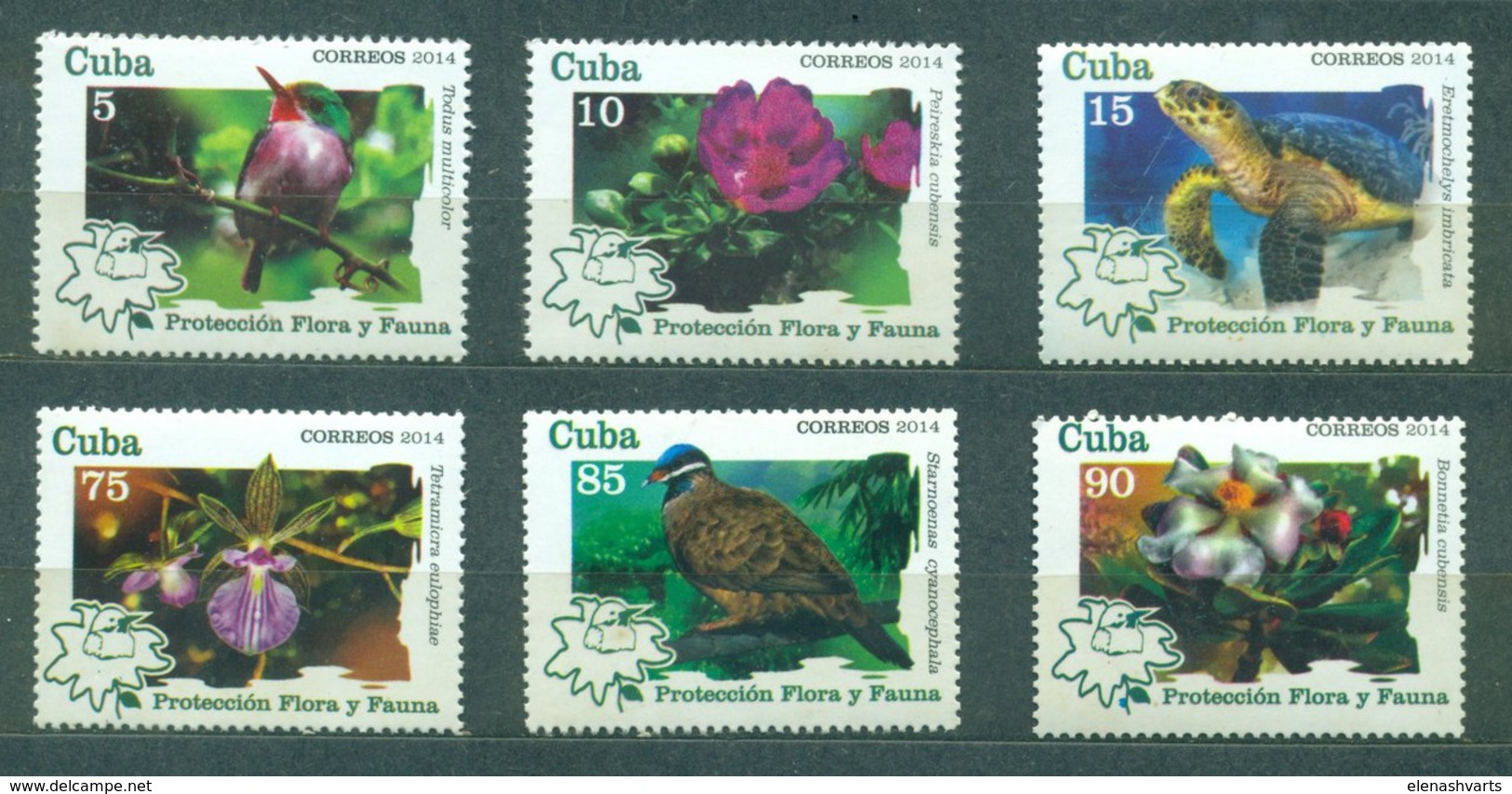 Cuba 2014 Protection Of Flora And Fauna  (MNH)  - Flowers, Birds, Turtles, Sea Turtles - Unused Stamps