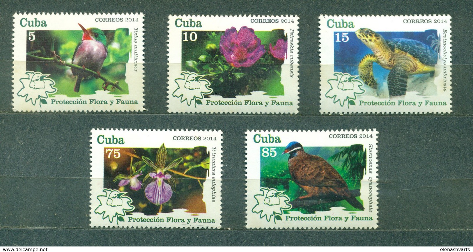 2014 Protection Of Flora And Fauna  (MNH)  - Flowers, Birds - Unused Stamps