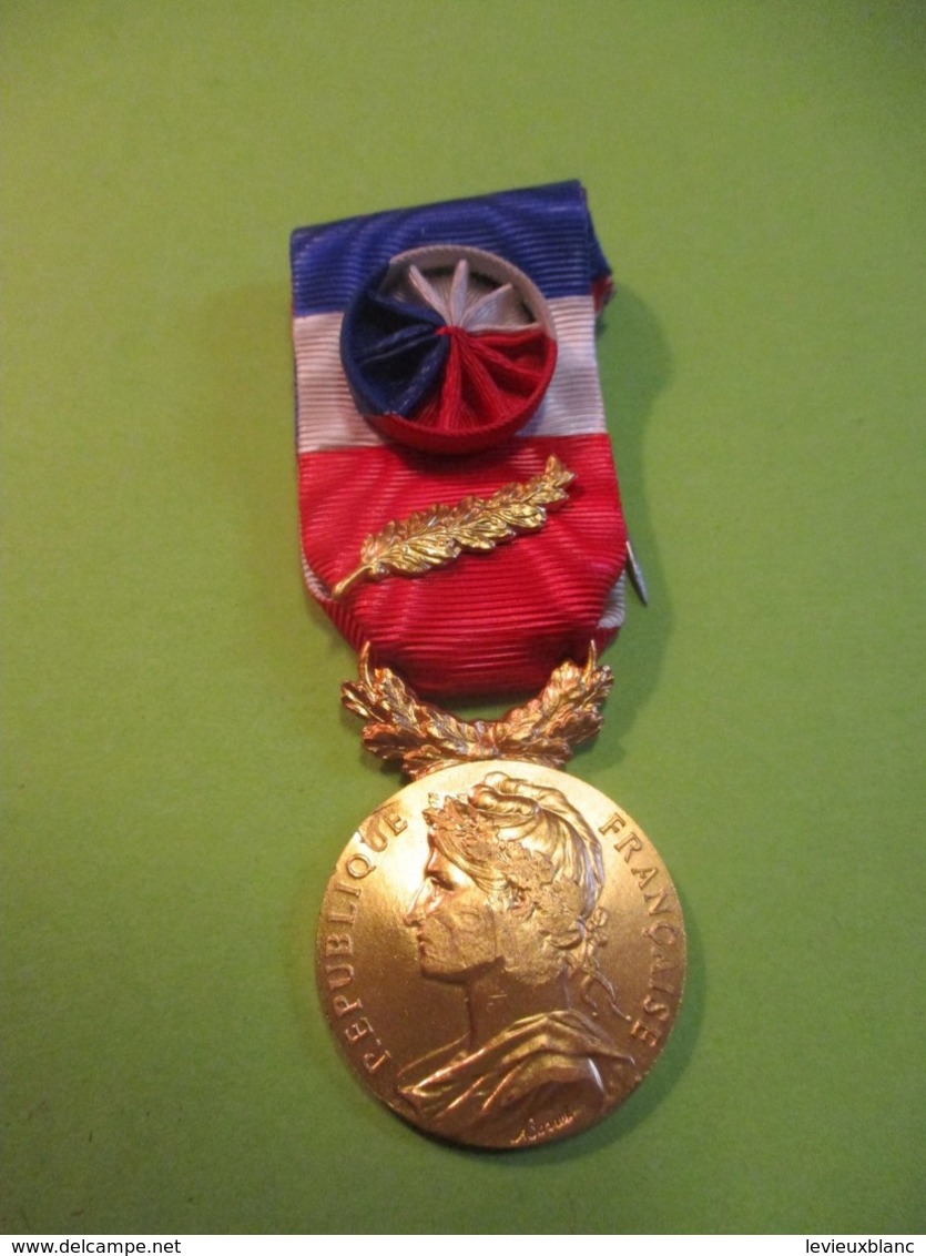 Médaille Française Ancienne Avec étui /RF/ Minist.du Travail Et Séc.Soc./A Bottel/H Bataillard/1961       MED320 - Francia