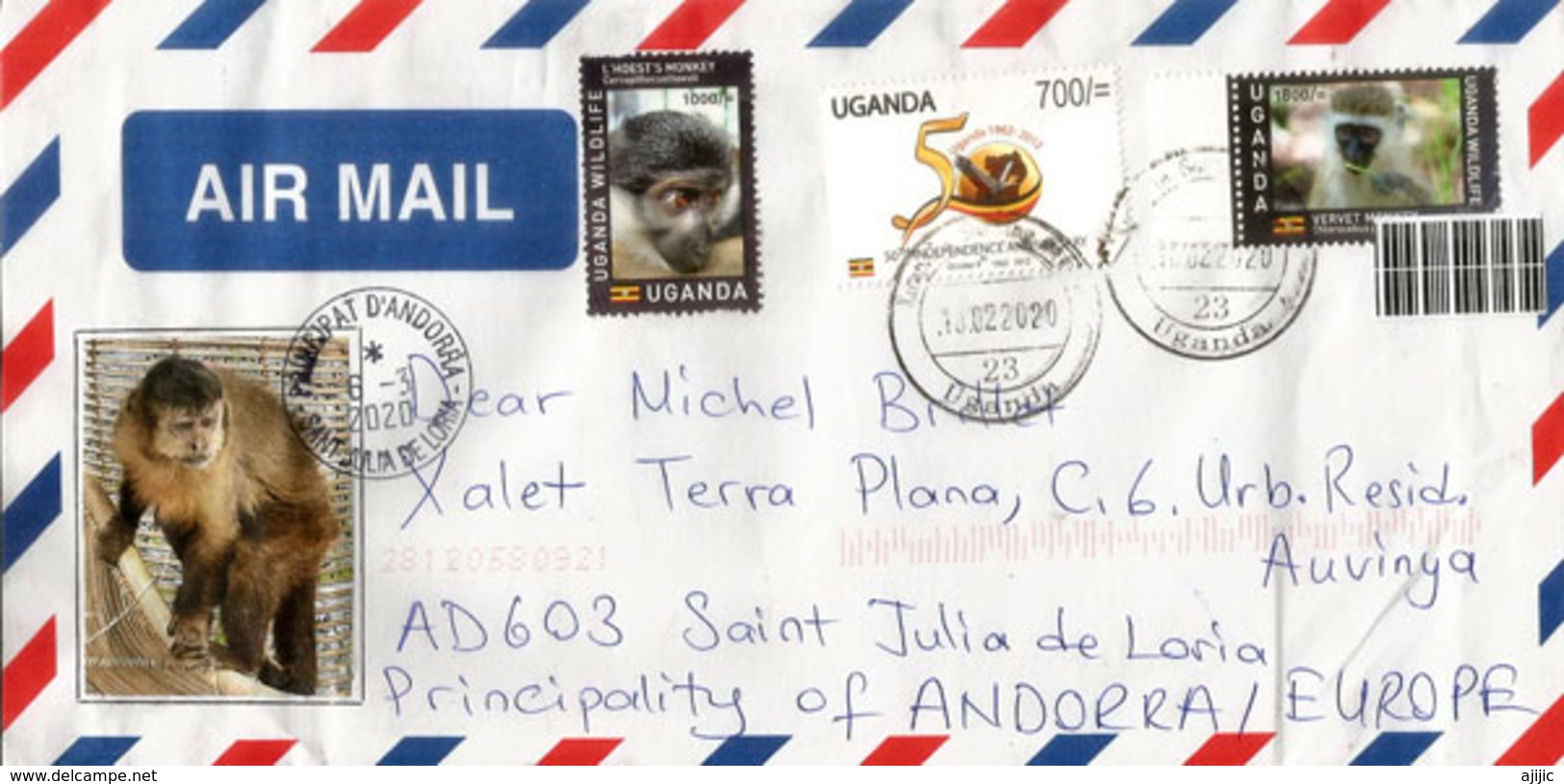 Belle Lettre De Kampala 2020 (L'Hoest's Monkey,etc) Adressée Andorra, Avec Timbre à Date Arrivée - Uganda (1962-...)