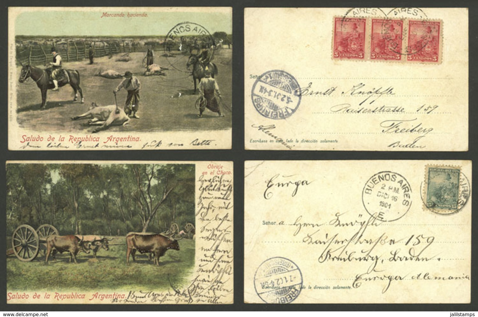 ARGENTINA: CATTLE: Marking Cows And Chaco Rural Scene, Both Edited By Enrique Moody And Sent To Germany In 1901, Very Ni - Argentine