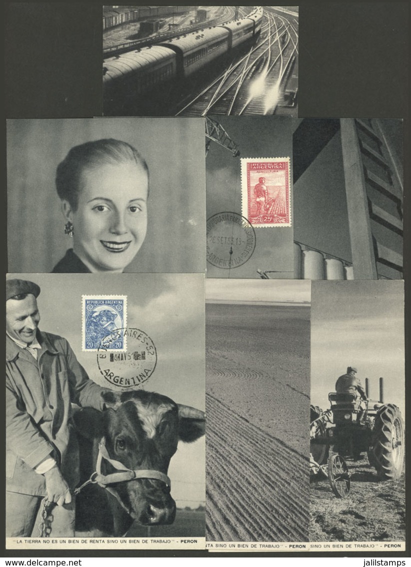 ARGENTINA: PERONISM: Set Of 7 Cards Of The Exhibition "Perón And Land", All With Very Interesting Views, Several With Sp - Argentine