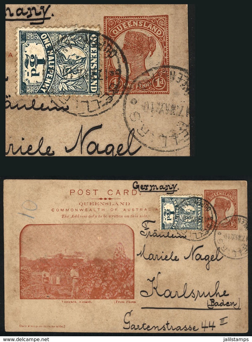 AUSTRALIA: Queensland 1p. Postal Card (uprated With ½p.), Illustrated: Vineyard - Nudgee", Sent From BELL To Germany On  - Autres & Non Classés