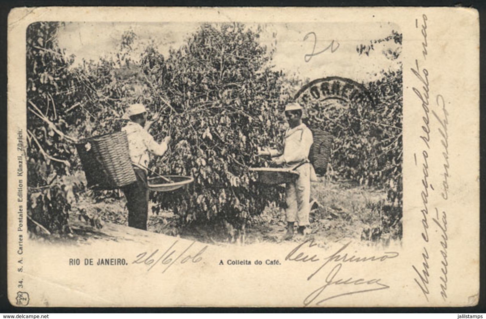 BRAZIL: Harvesting COFFEE In Rio De Janeiro, Ed. Künzli, Circa 1905, Fine Quality - Autres & Non Classés