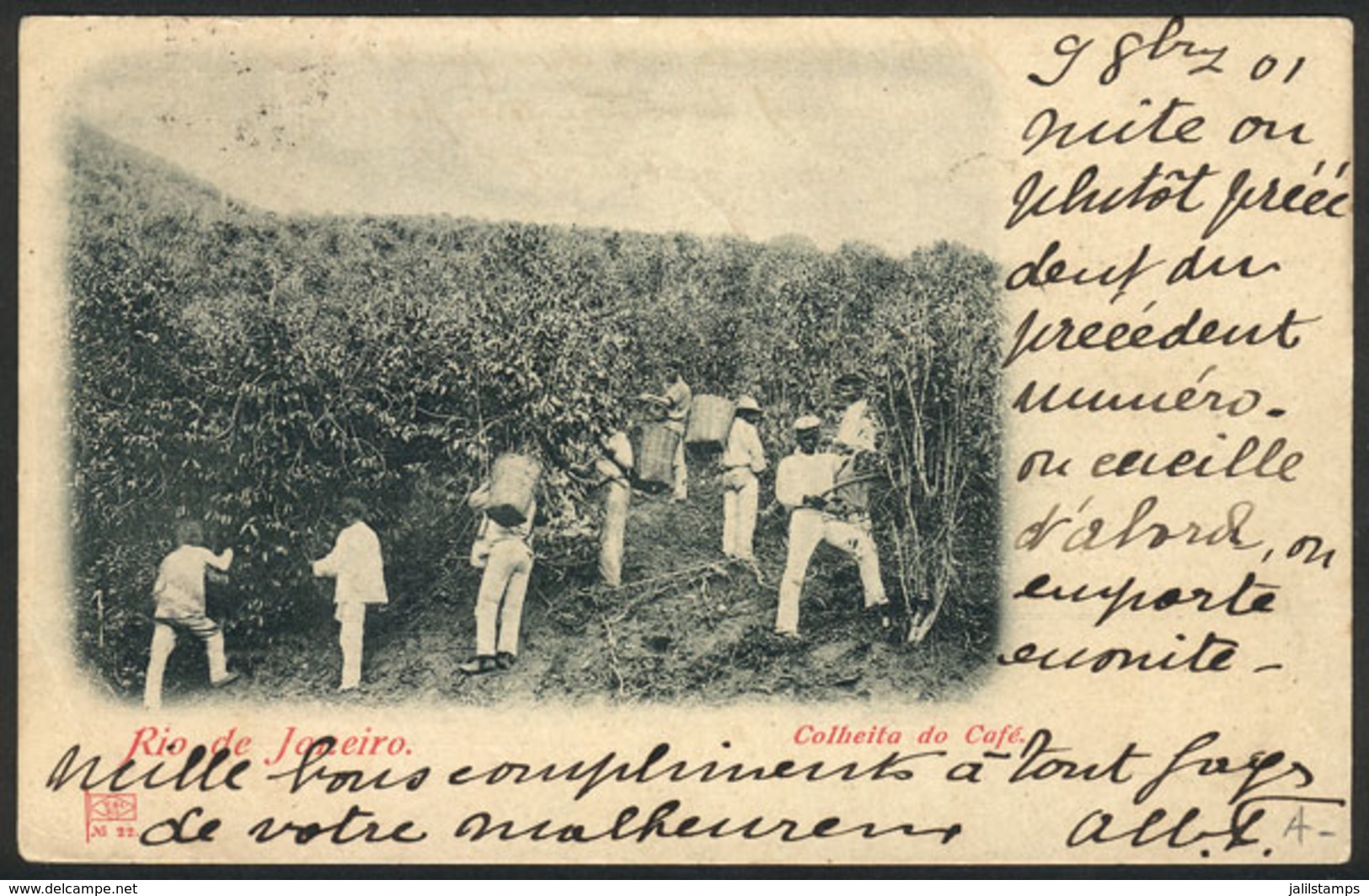 BRAZIL: Harvesting COFFEE In Rio De Janeiro, Sent To Belgium On 9/OC/1901, VF Quality - Autres & Non Classés