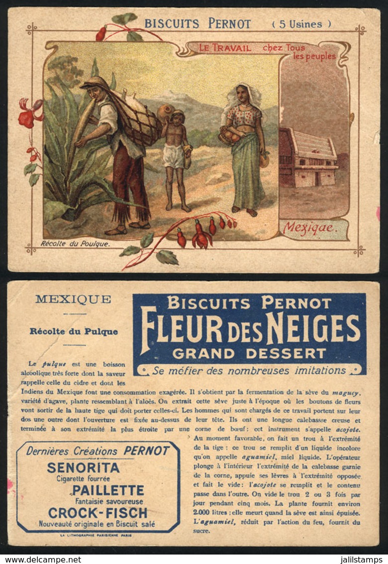 FRANCE: Extraction Of Pulque (Mexico): Old Trading Card With Advertising For PERNOT Biscuits, Minor Defects, Rare! - Autres & Non Classés