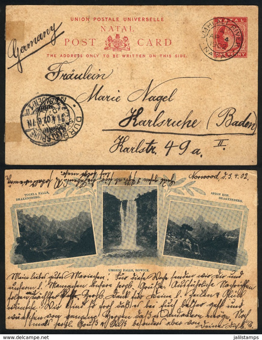NATAL: 1p. Postal Card Illustrated On Back With Views Of "Tugela Falls, Drakensberg + Umgeni Falls, Howick + Spion Kop,  - Natal (1857-1909)