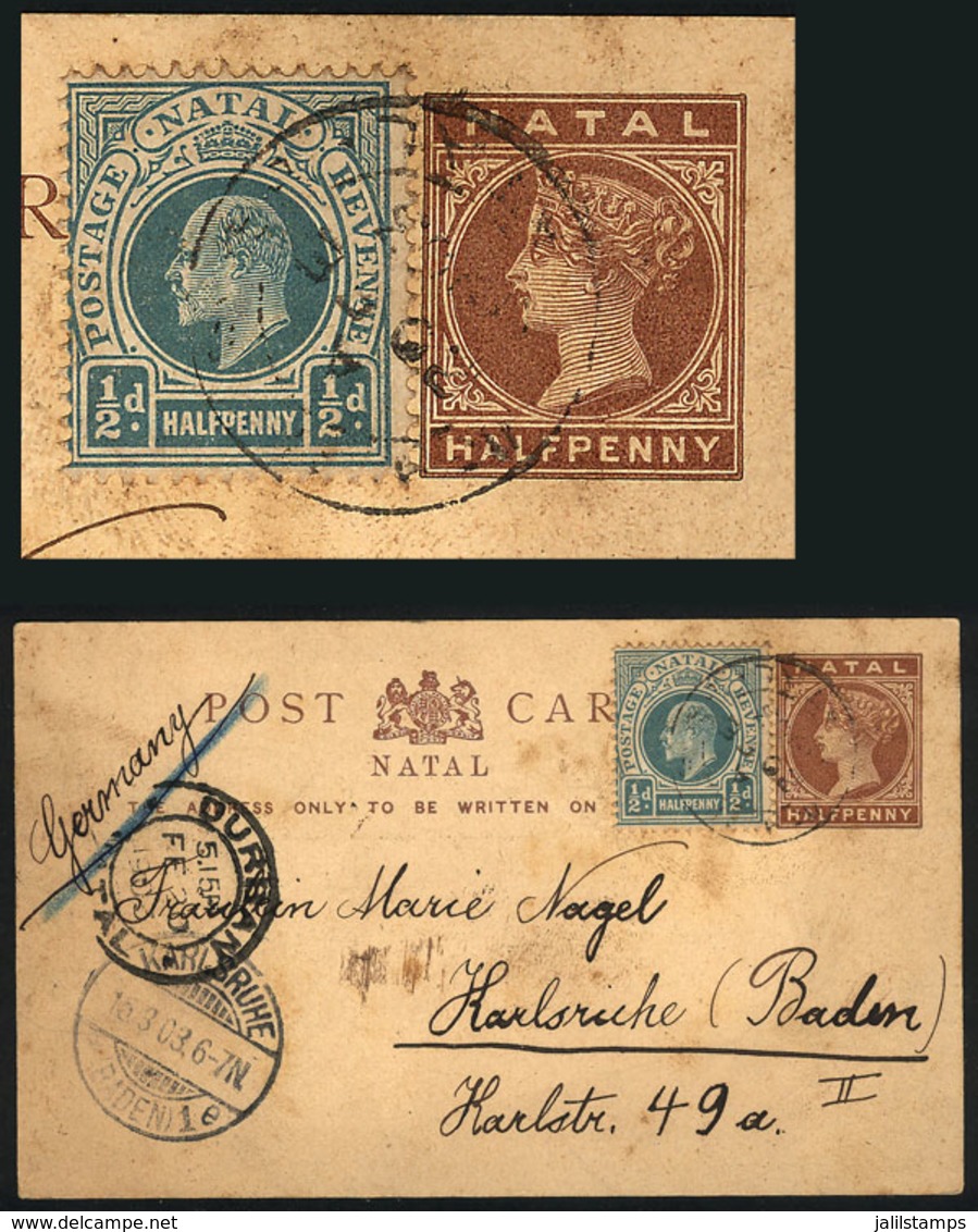NATAL: ½p. Postal Card + ½p., Sent From NORWOOD To Germany On 20/FE/1903, Very Nice! - Natal (1857-1909)