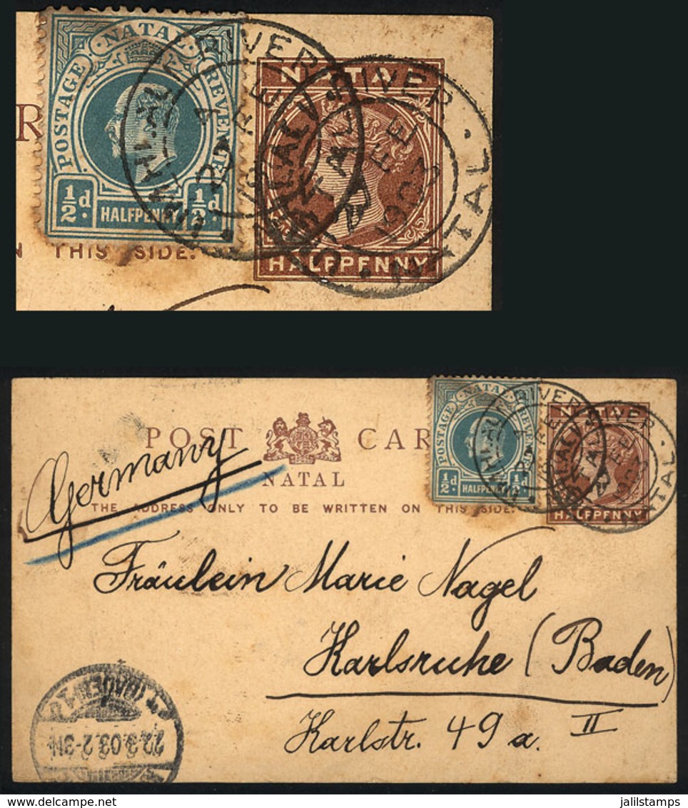 NATAL: ½p. Postal Card + Additional ½p., Sent From UMHLALI RIVER To Germany On 27/FE/1903, Very Nice! - Natal (1857-1909)