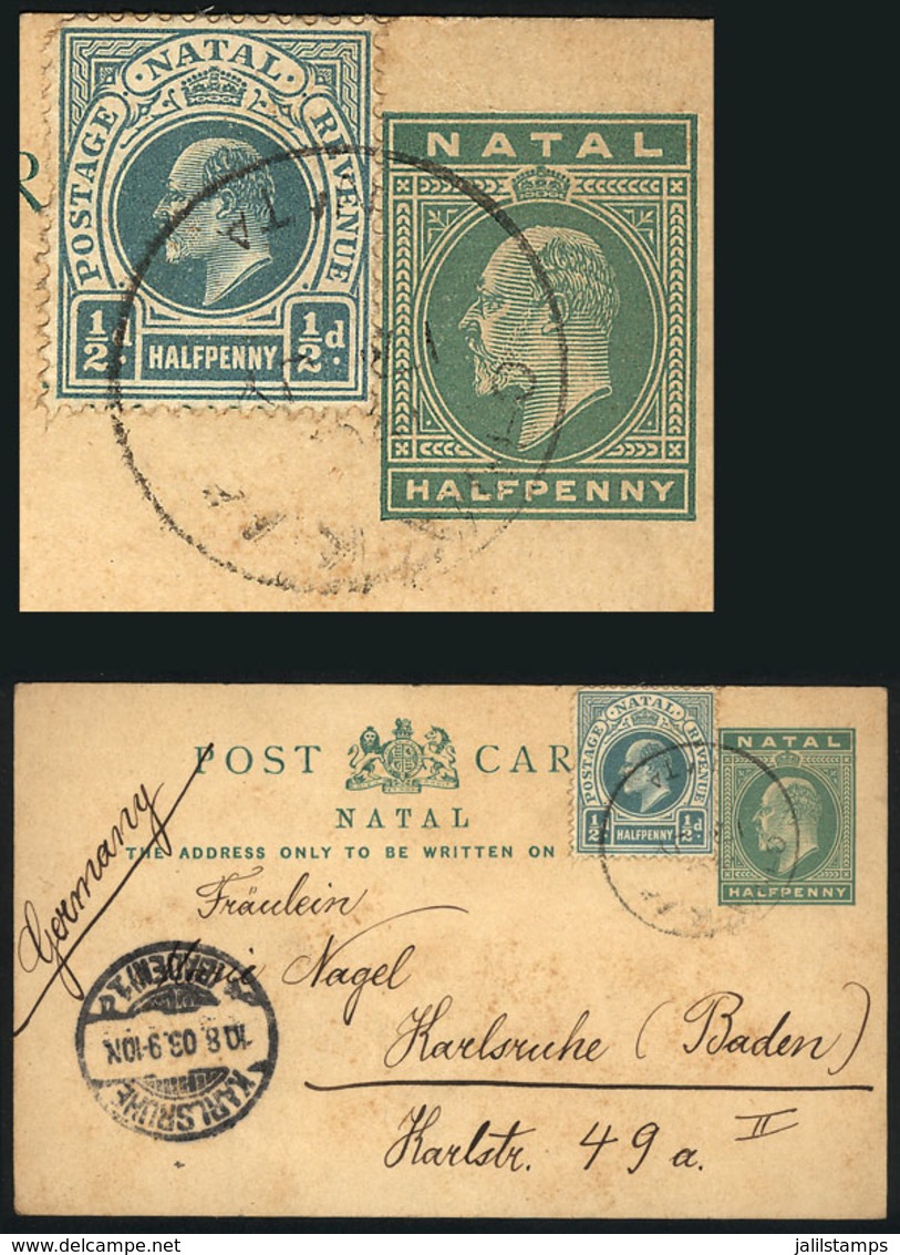 NATAL: ½p. Postal Card + Additional ½p., Sent From CHAKAS KRAAL To Germany On 16/JUL/1903, Very Nice! - Natal (1857-1909)