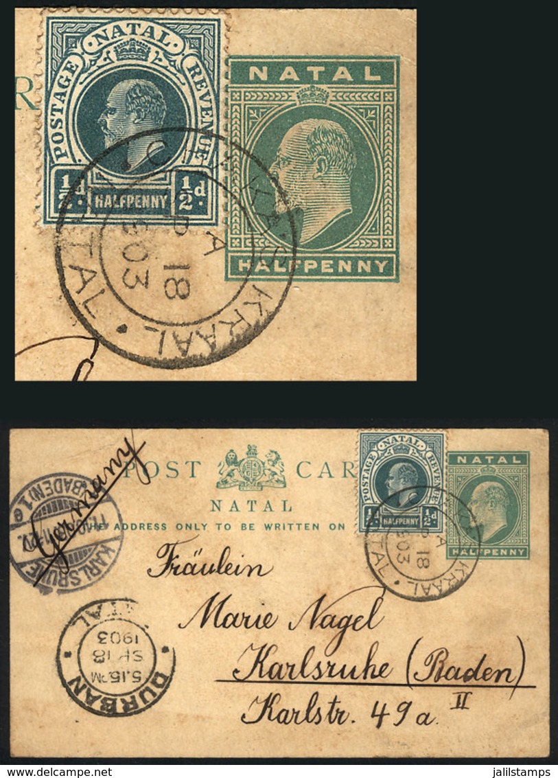 NATAL: ½p. Postal Card + Additional ½p., Sent From CHAKAS KRAAL To Germany On 18/SE/1903, Very Nice! - Natal (1857-1909)